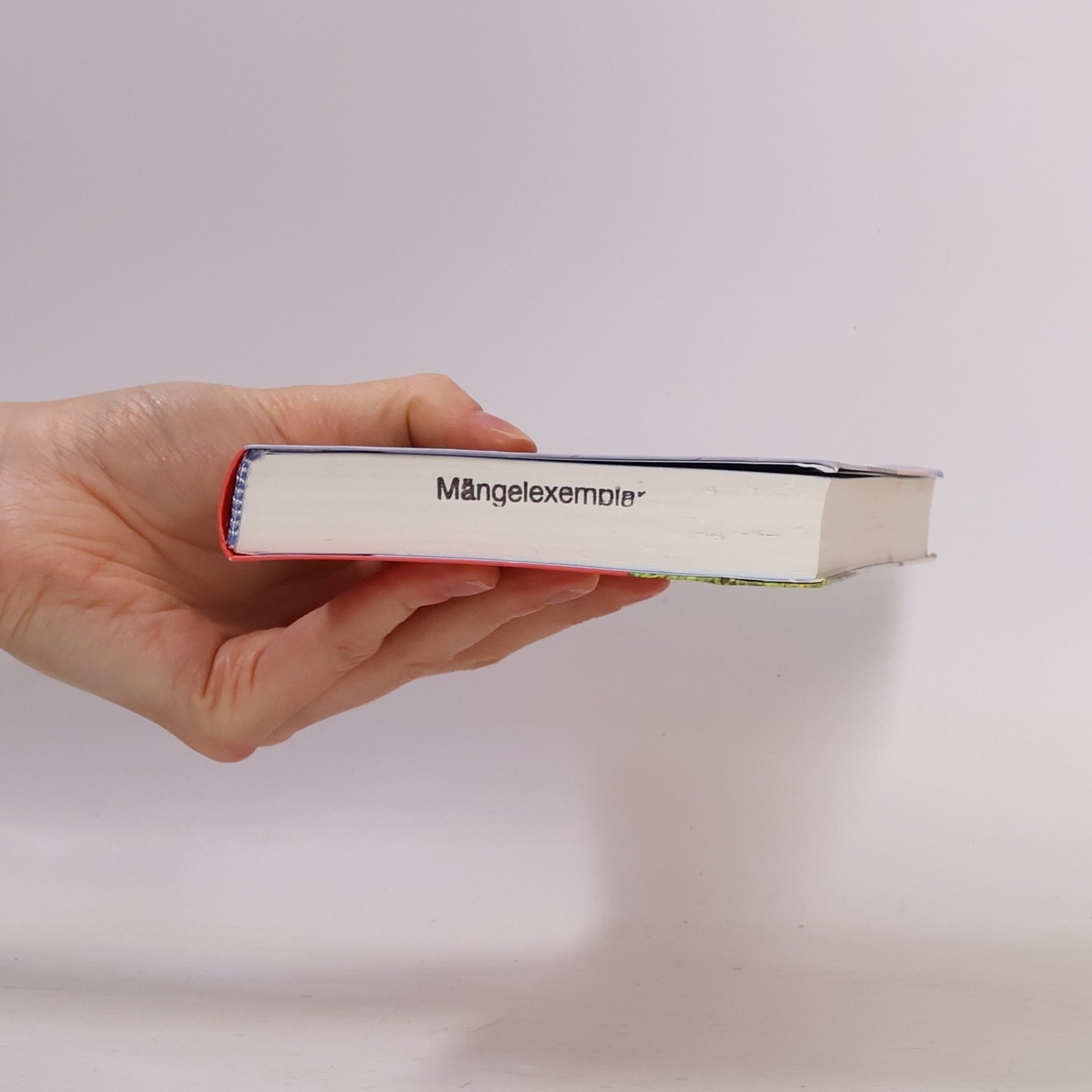 Ebba D. Drolshagen Gebrauchsanweisung für Norwegen