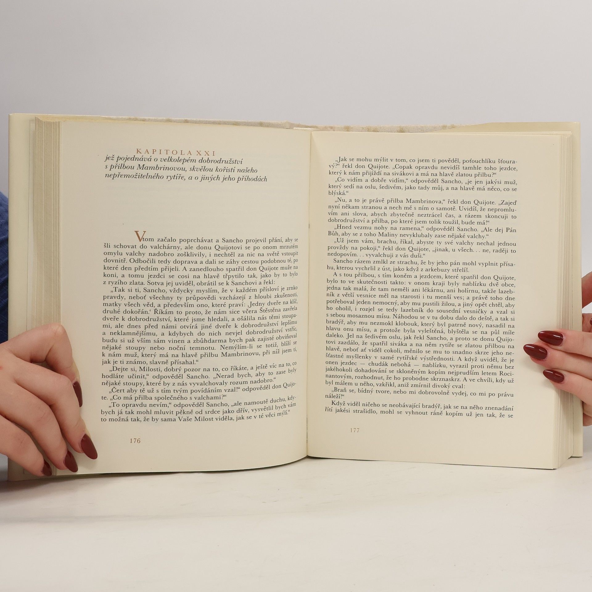 Miguel de Cervantes Saavedra Důmyslný rytíř Don Quijote de la Mancha 1.