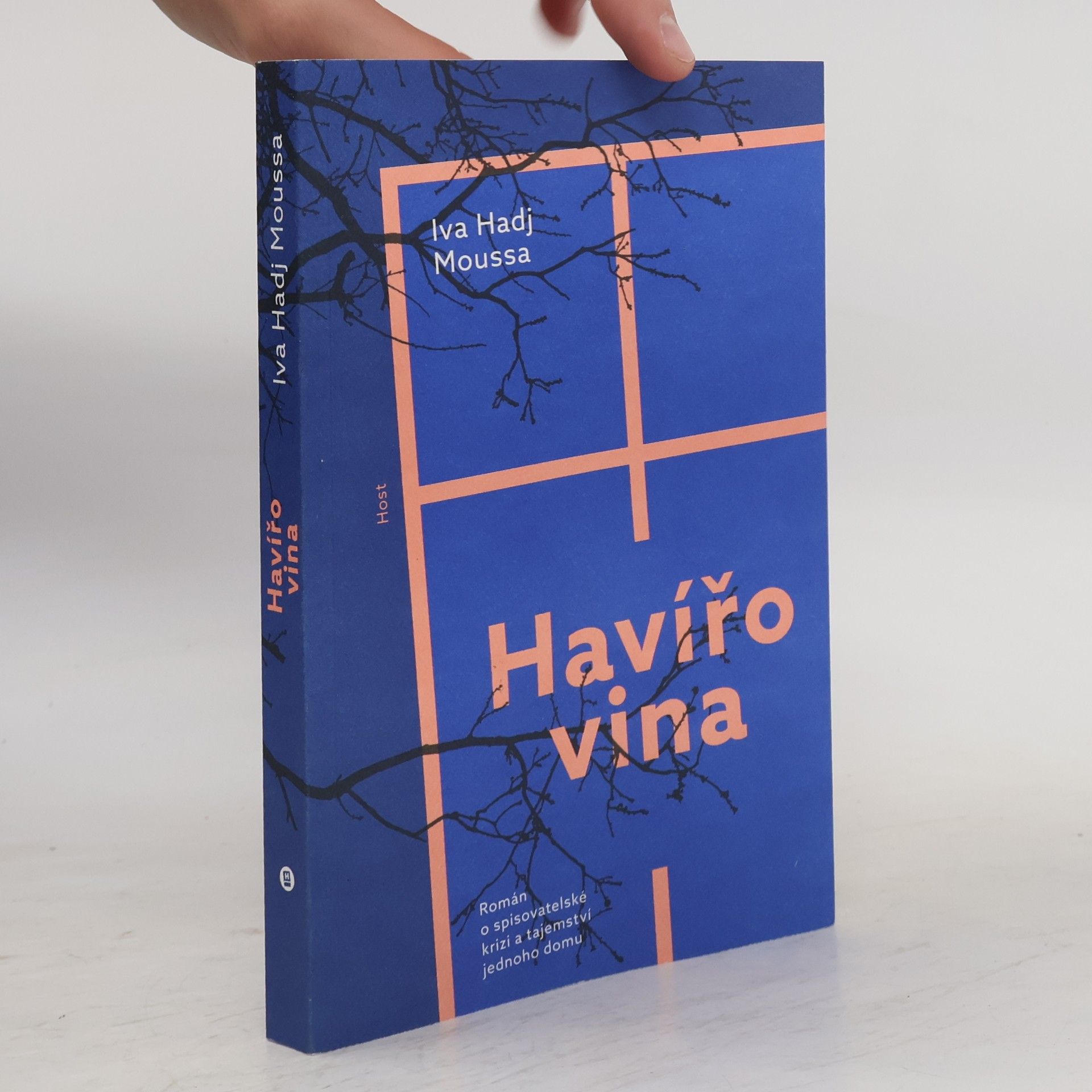 Iva Hadj Moussa Havířovina