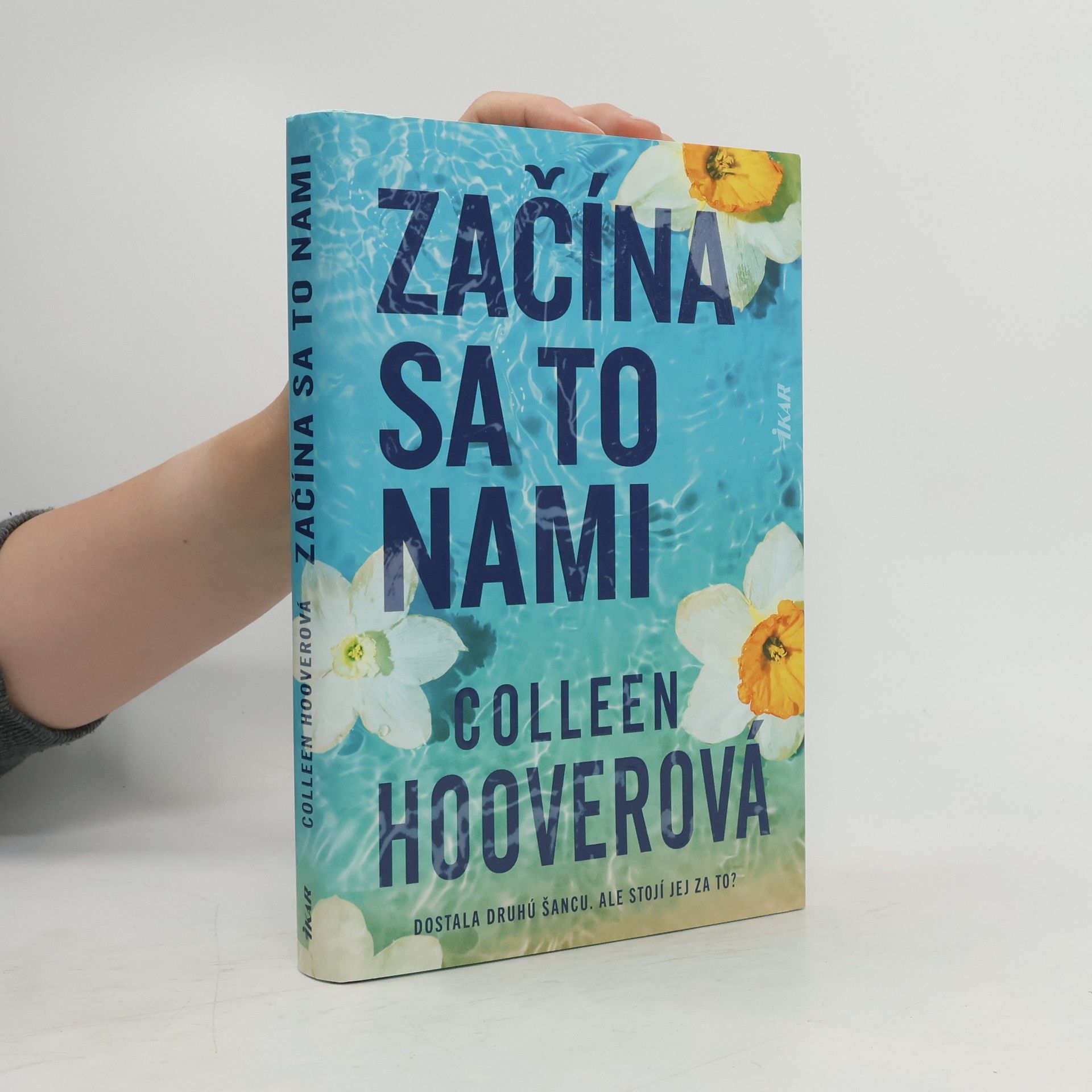 Colleen Hoover Začína sa to nami