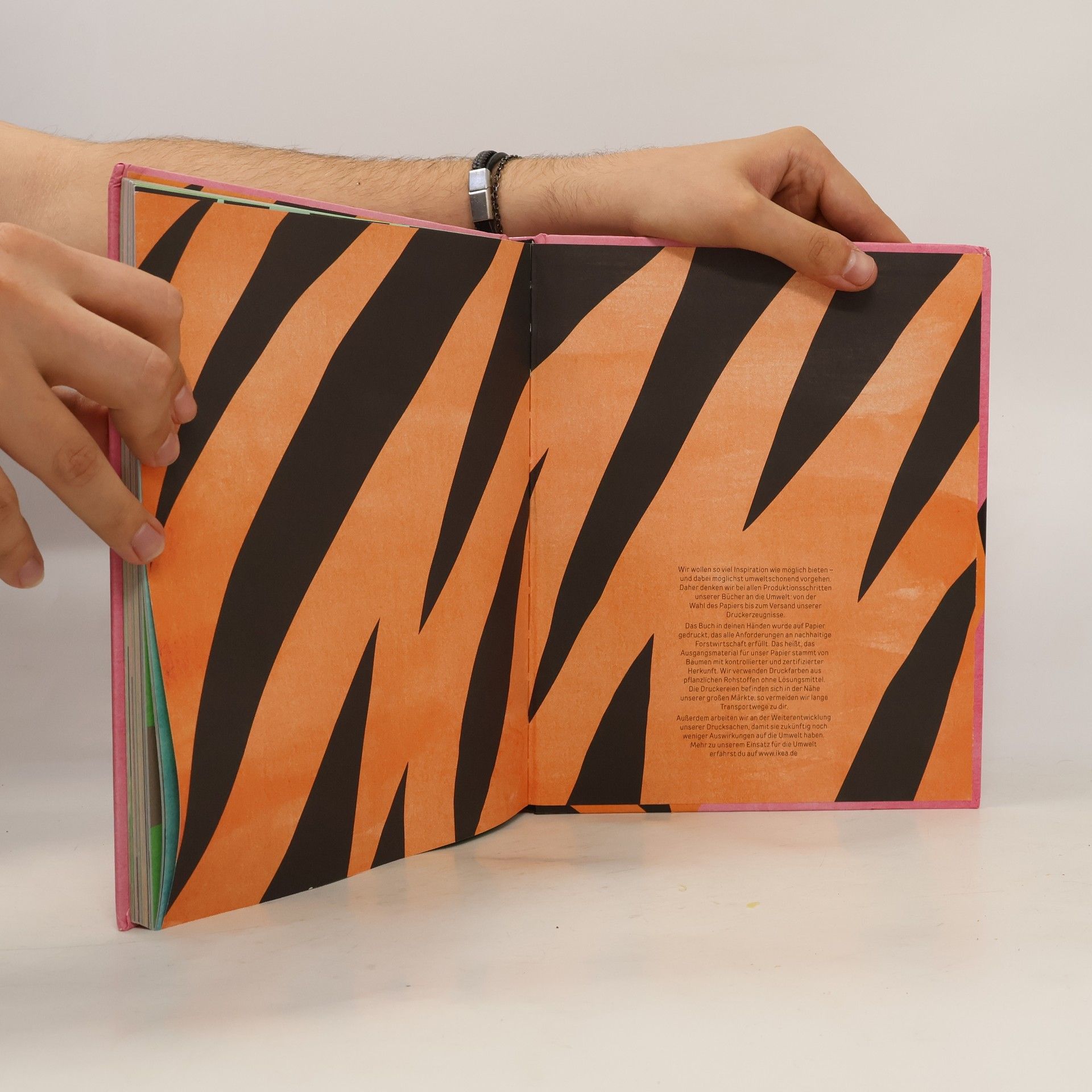 Stefan Casta Dem Tiger auf der Spur