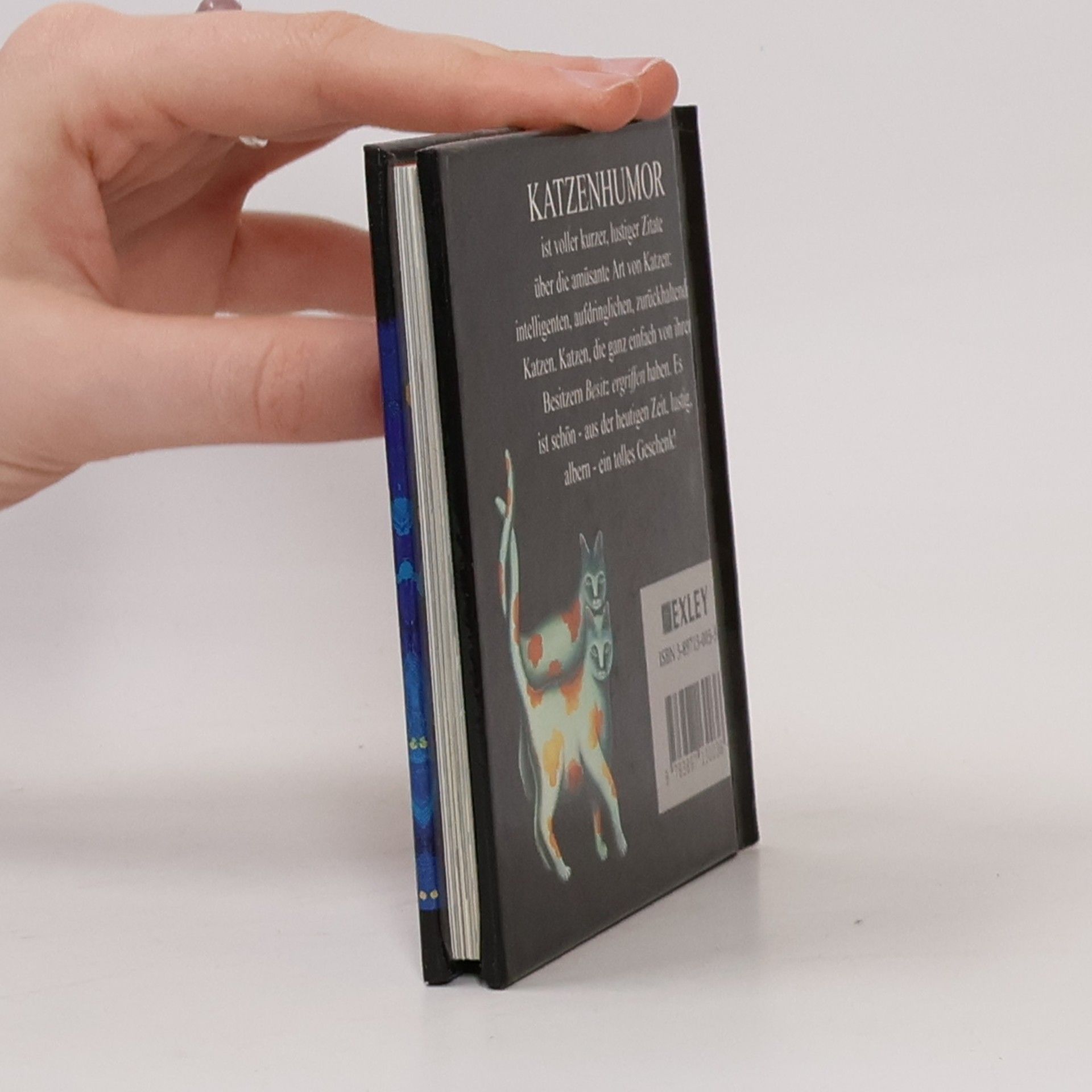 Helen Exley Quadratische Minibücher: Katzenhumor