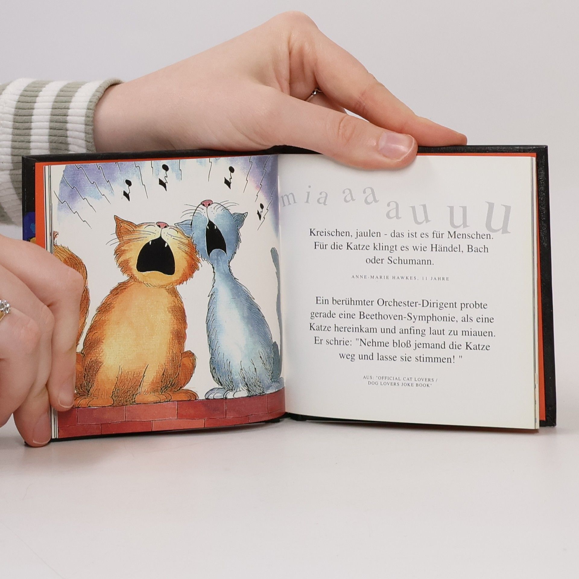 Helen Exley Quadratische Minibücher: Katzenhumor