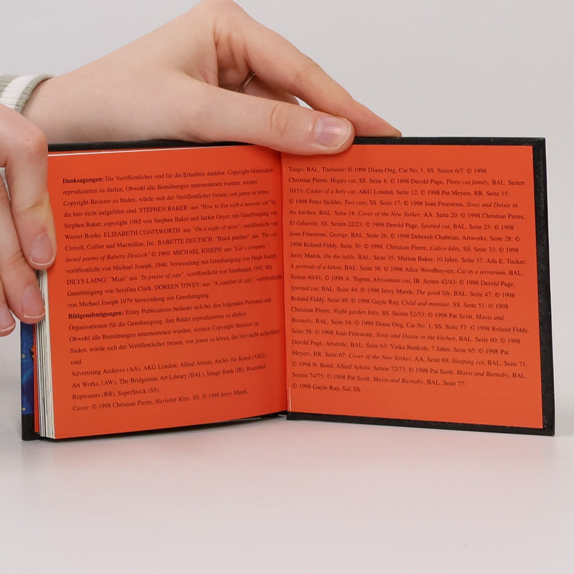 Helen Exley Quadratische Minibücher: Katzenhumor