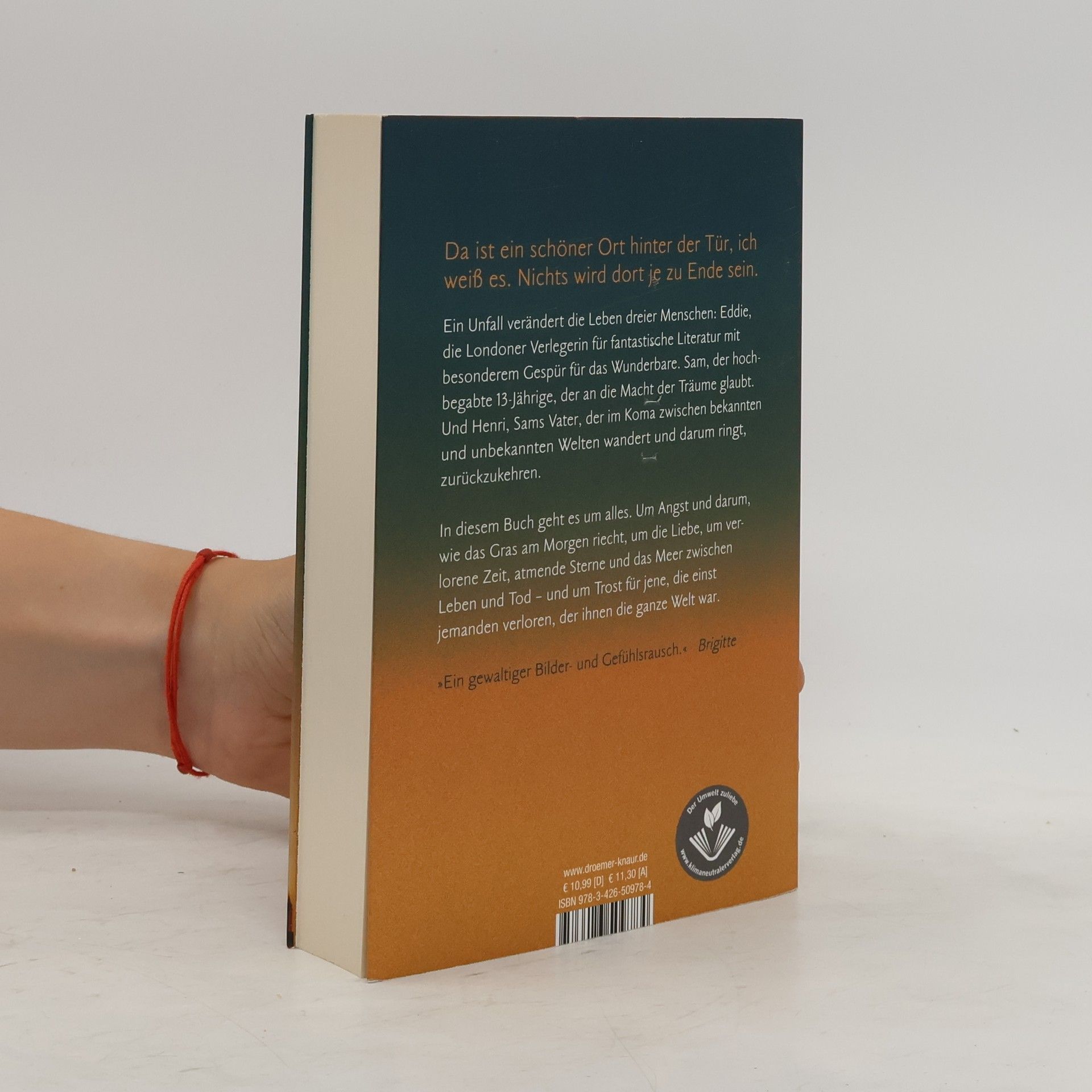Nina George Das Traumbuch