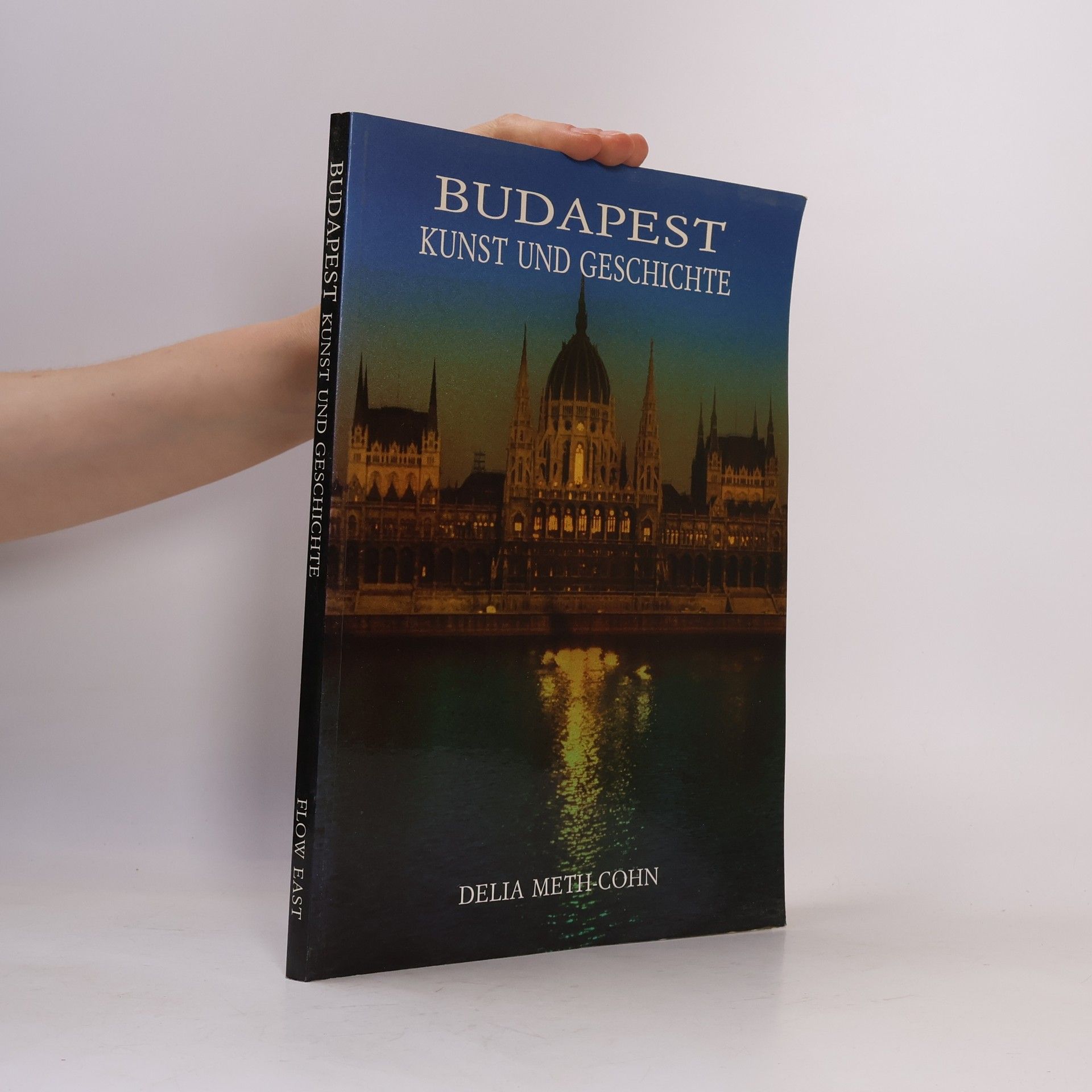 Delia Meth-Cohn Budapest. Kunst und Geschichte