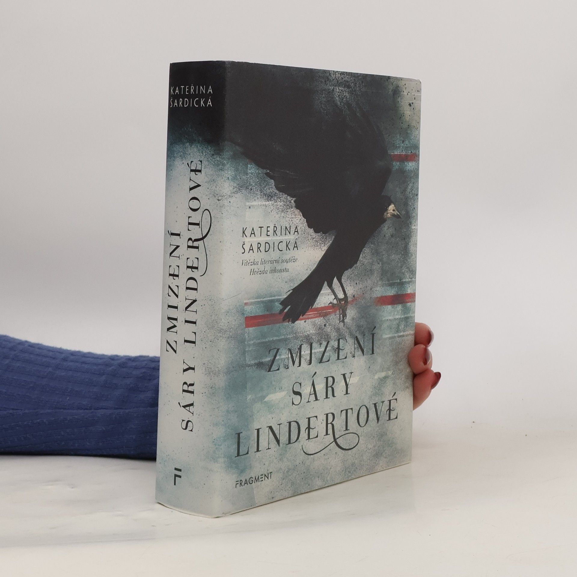 Kateřina Šardická Zmizení Sáry Lindertové
