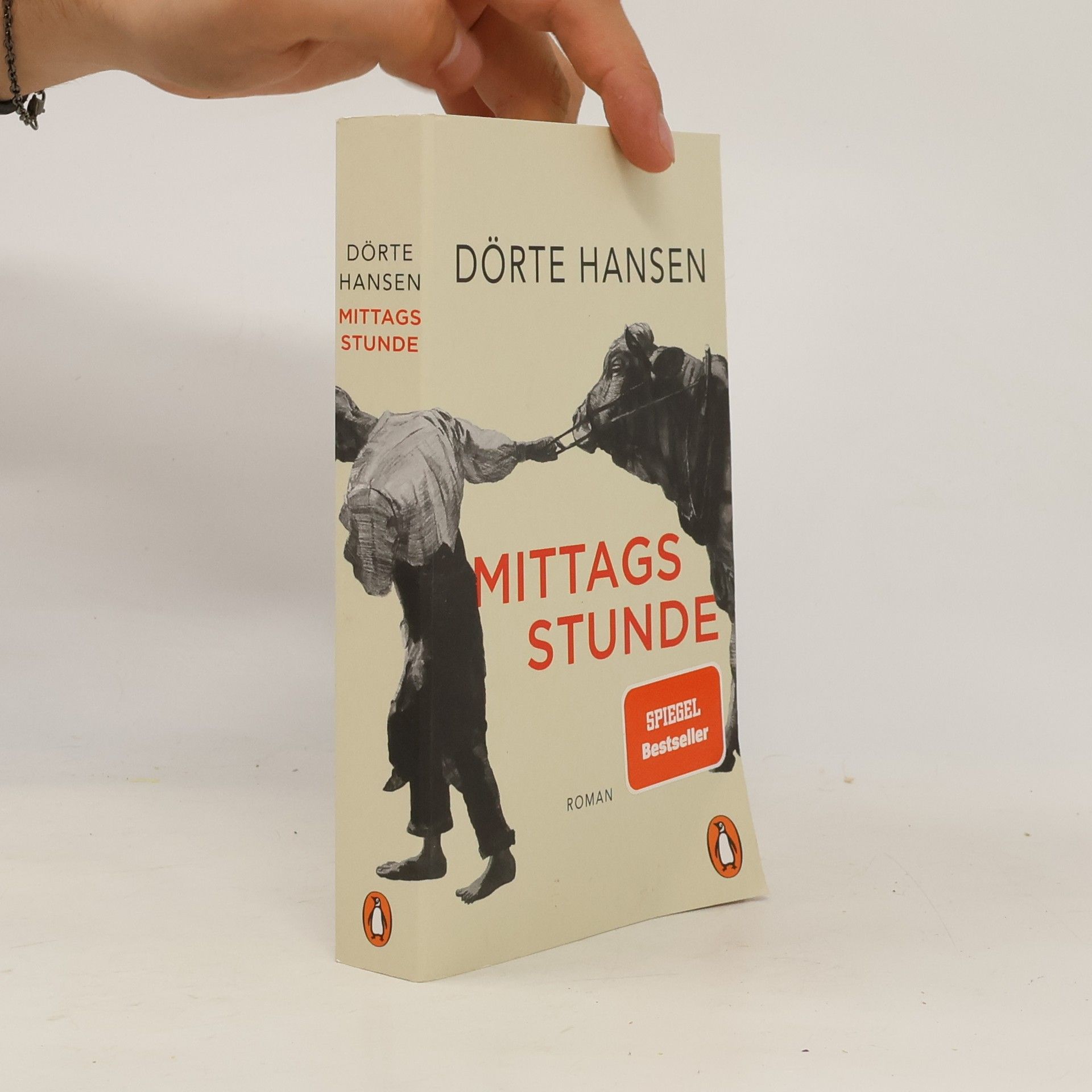 Dörte Hansen Mittagsstunde
