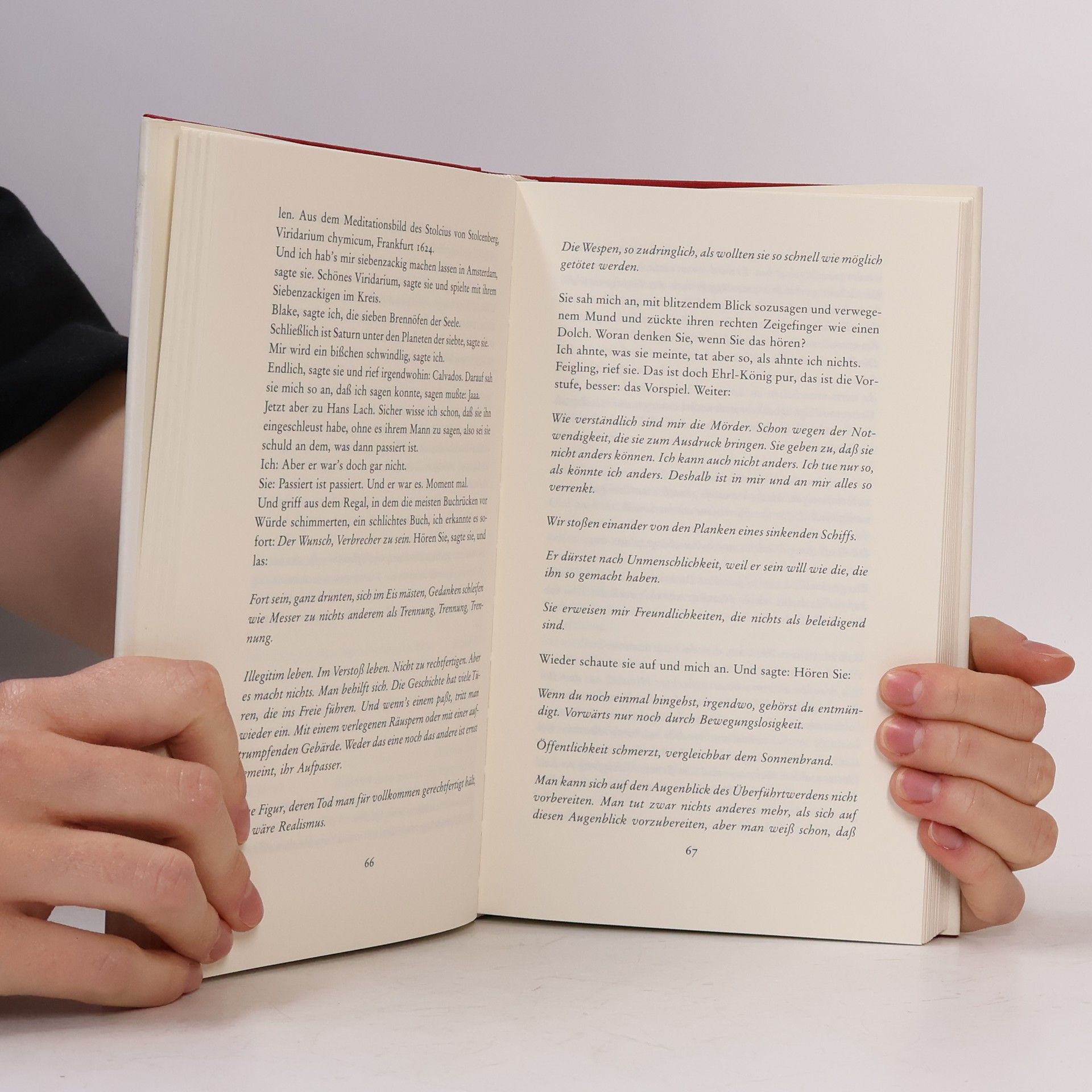 Martin Walser Tod eines Kritikers