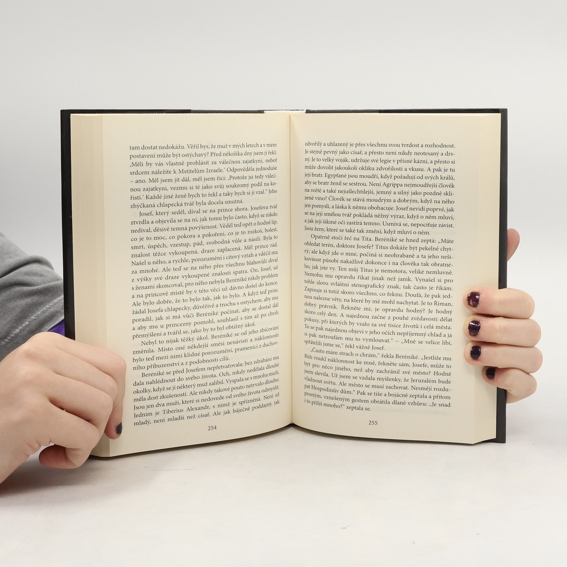 Lion Feuchtwanger Židovská válka : první díl trilogie Josephus Flavius