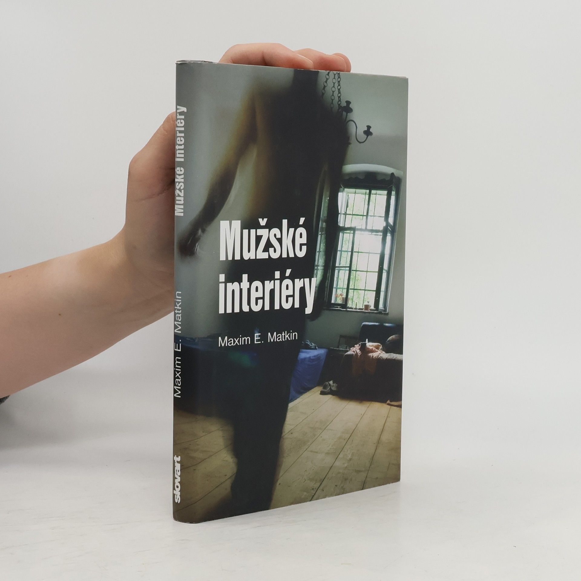 Mužské interiéry