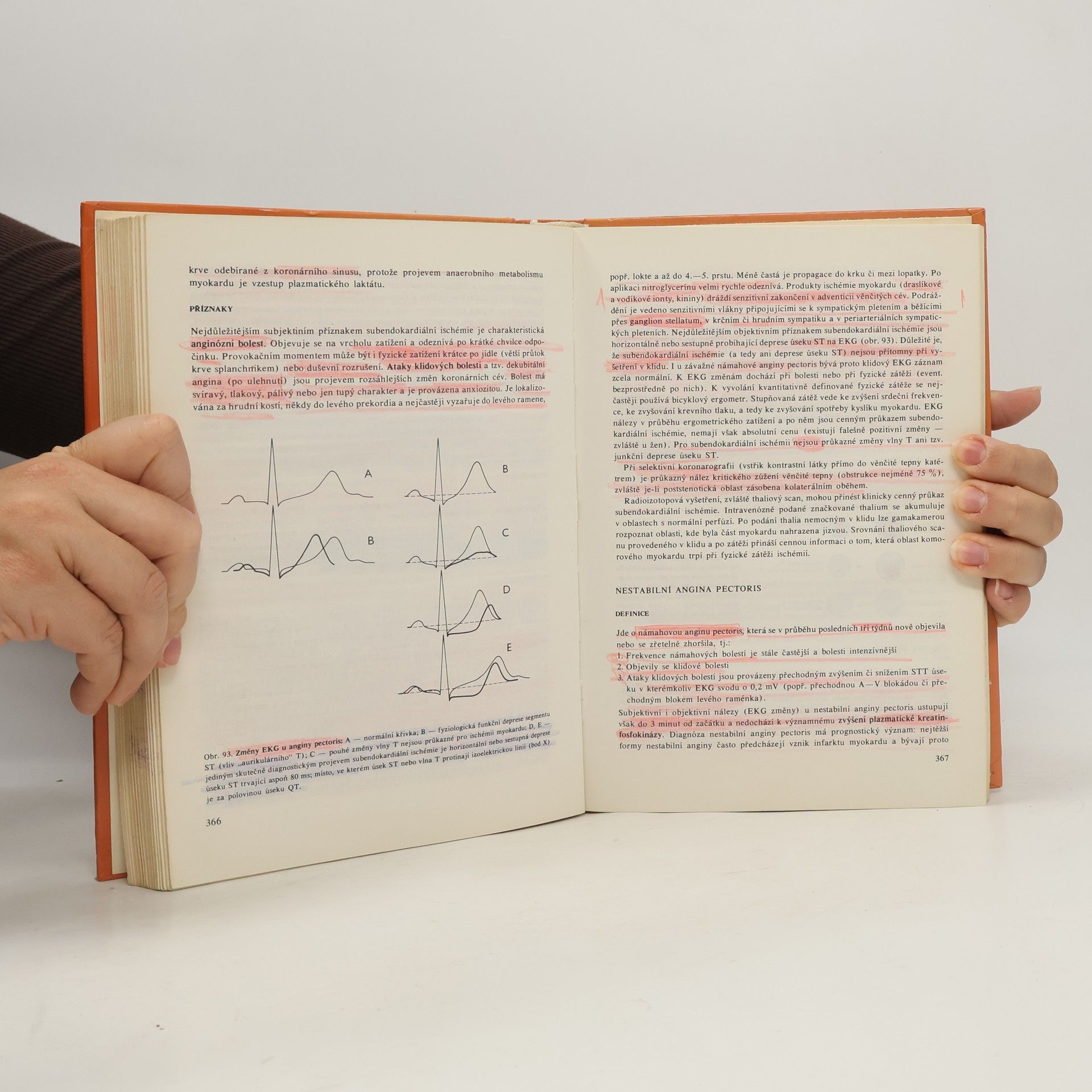 Autorenkollektiv Patologická fyziologie