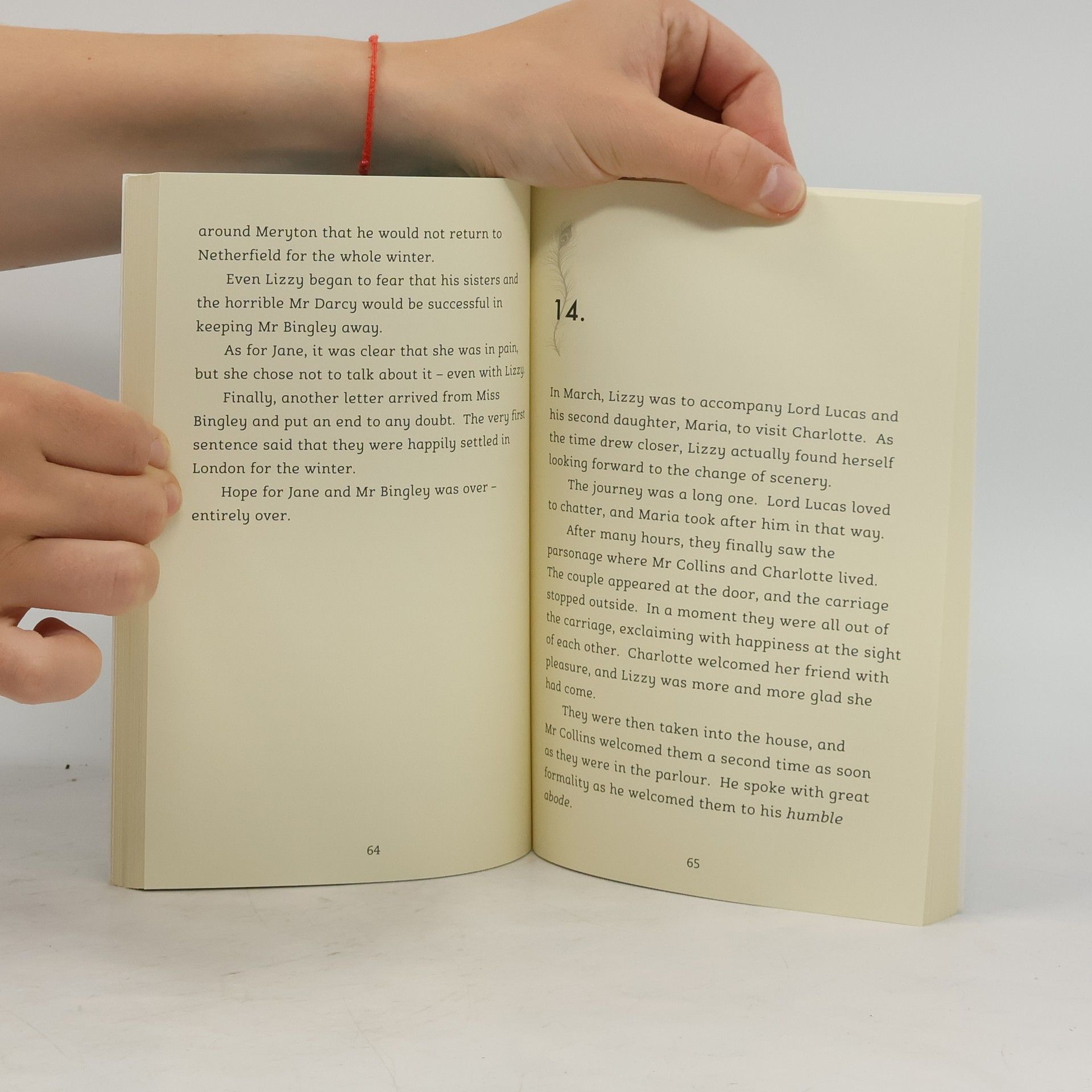 Laura Wood Pride and Prejudice