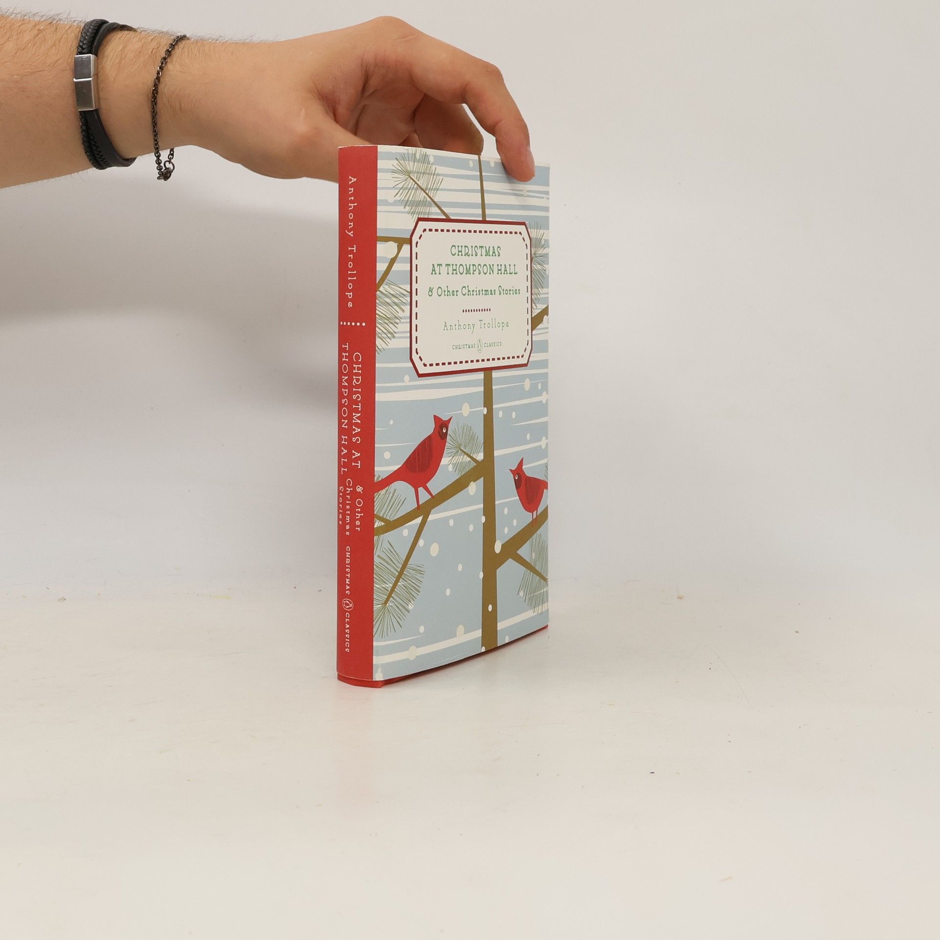 Anthony Trollope Christmas at Thompson Hall
