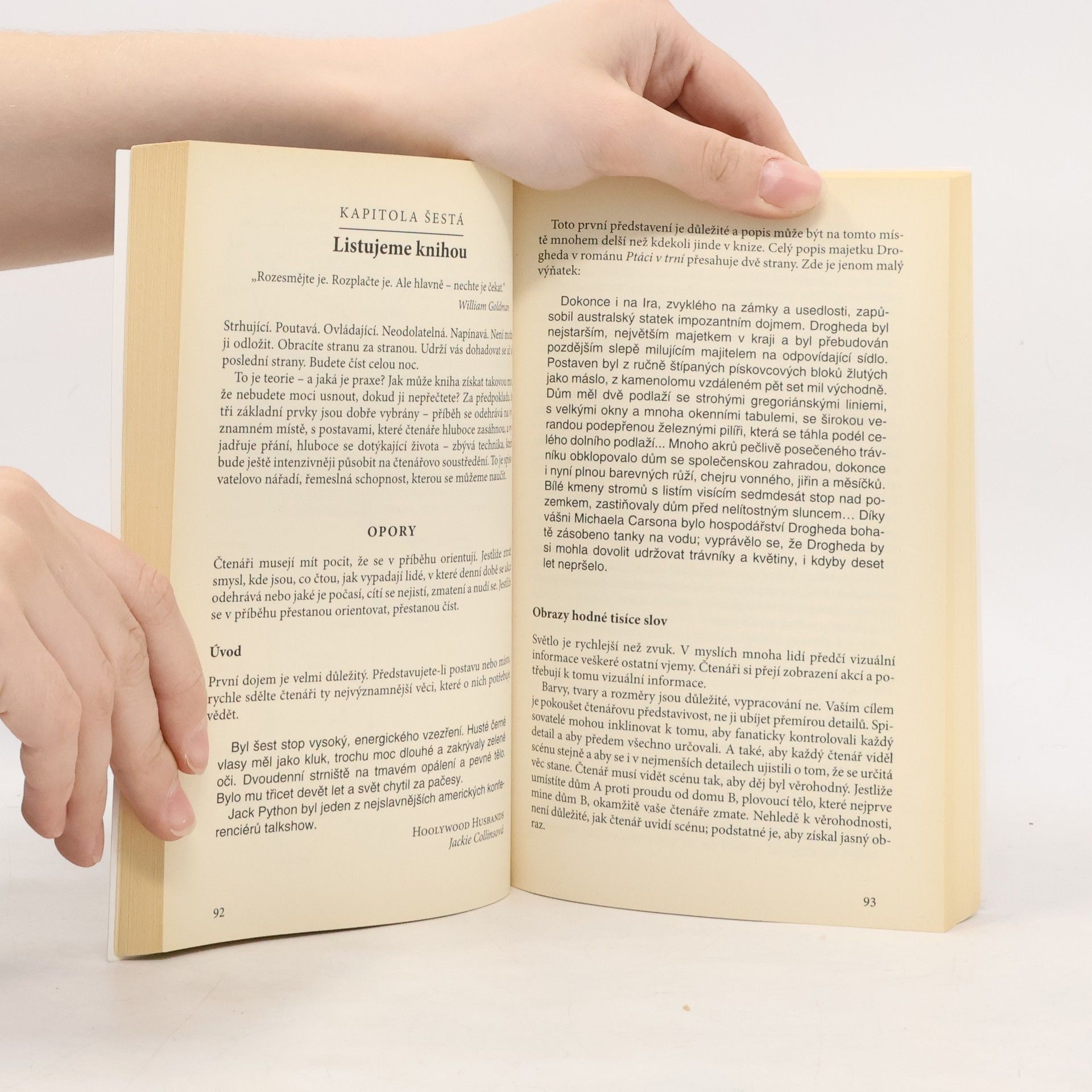 Celia Brayfield Jak napsat bestseller: Tajemství úspěšného psaní