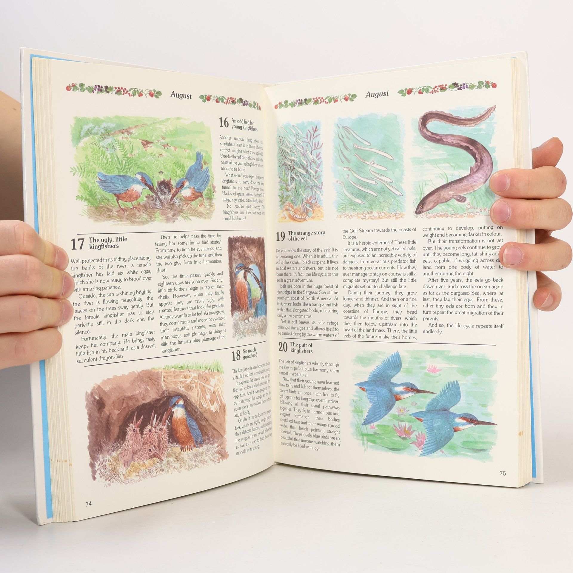 Anne Bonhomme 366 and More Nature Stories