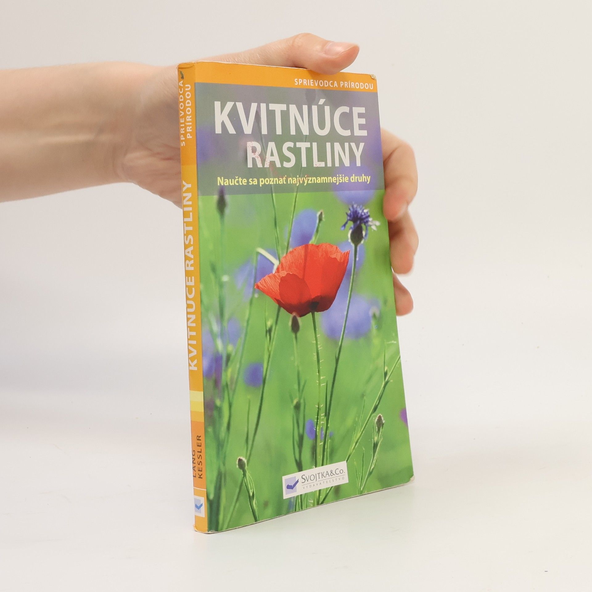 Angelika Lang Kvitnúce rastliny