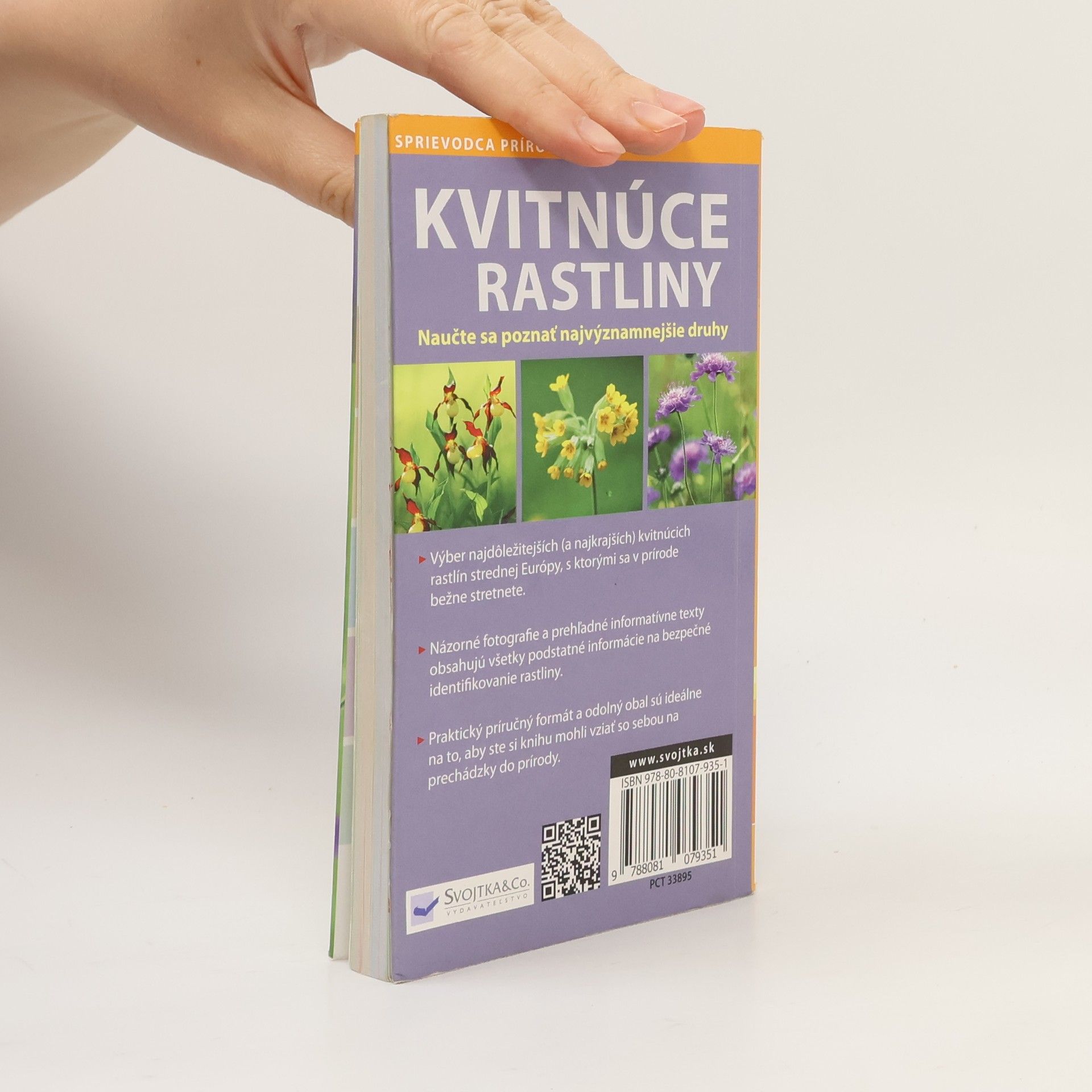 Angelika Lang Kvitnúce rastliny