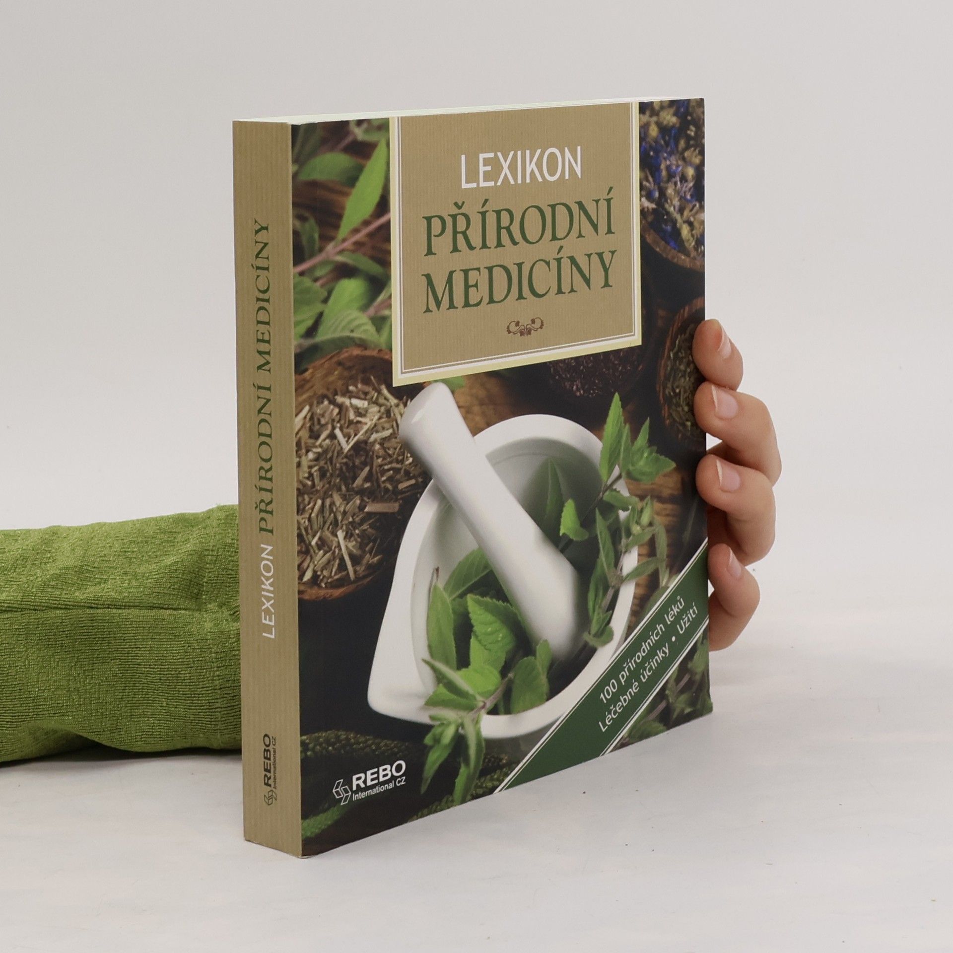 Anne Iburg Lexikon přírodní medicíny