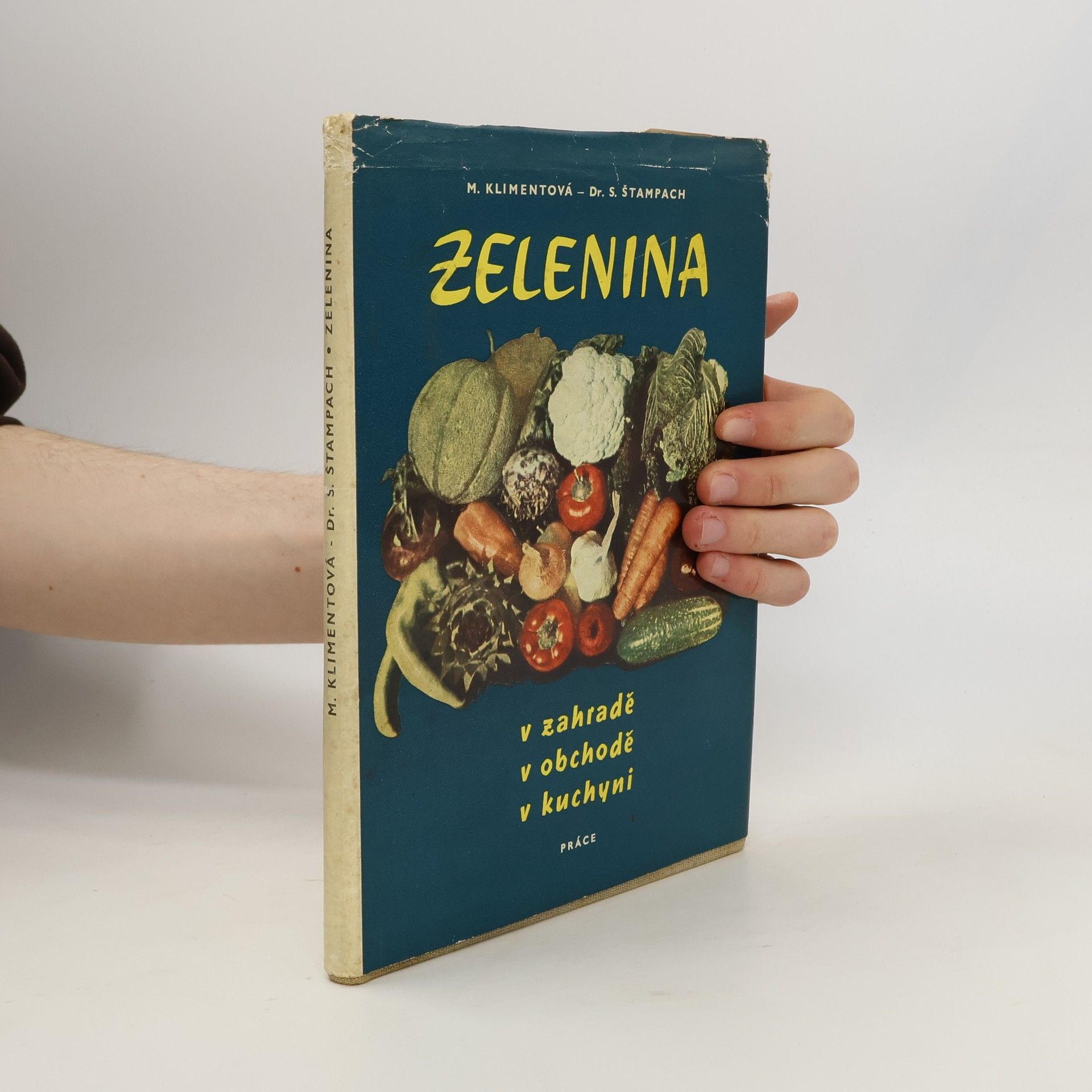 S. Štampach Zelenina v zahradě, v obchodě, v kuchyni