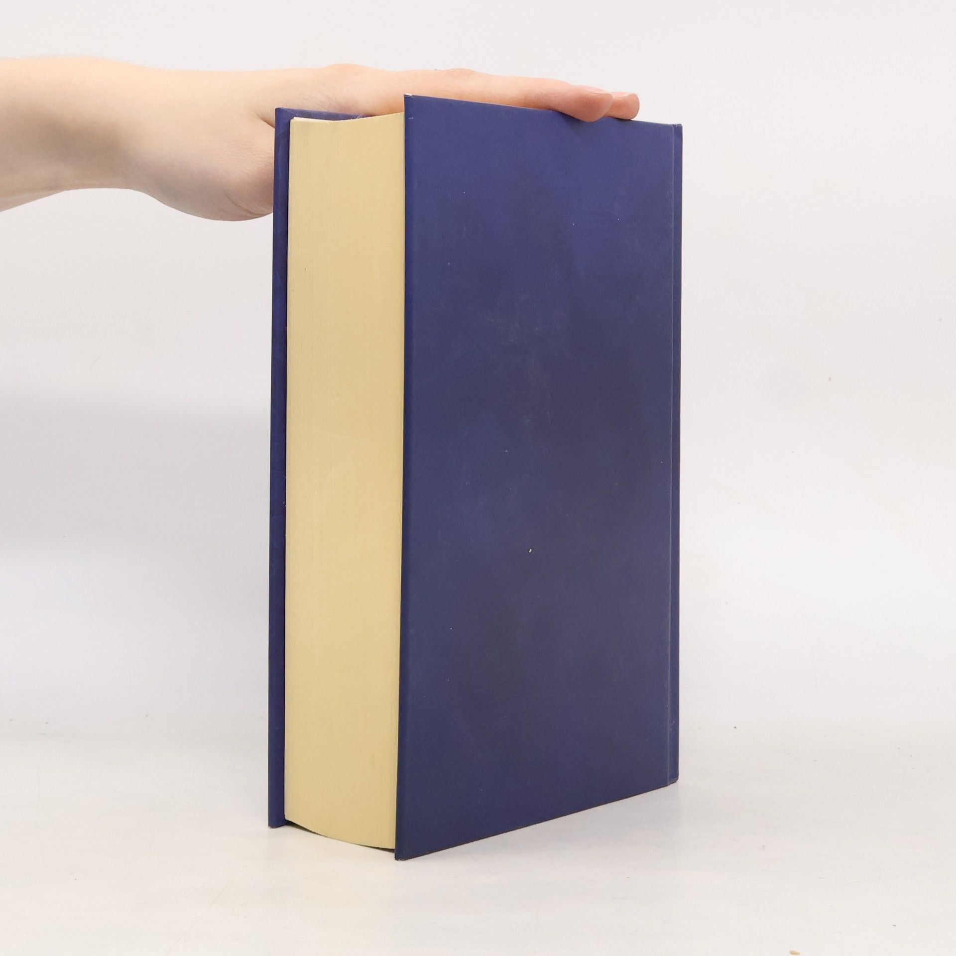 Cassandra Clare Mesto nebeského ohňa