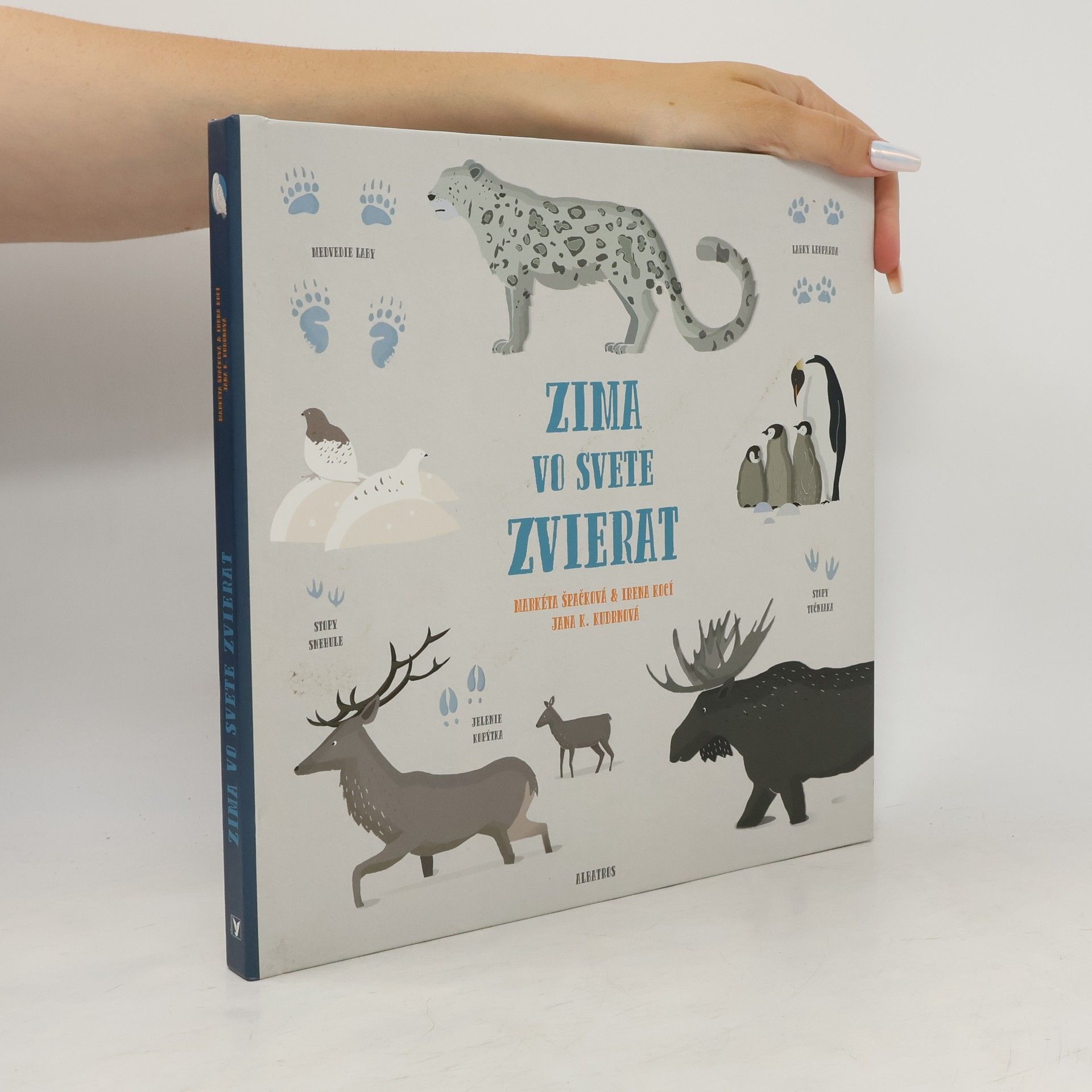 Zima vo svete zvierat