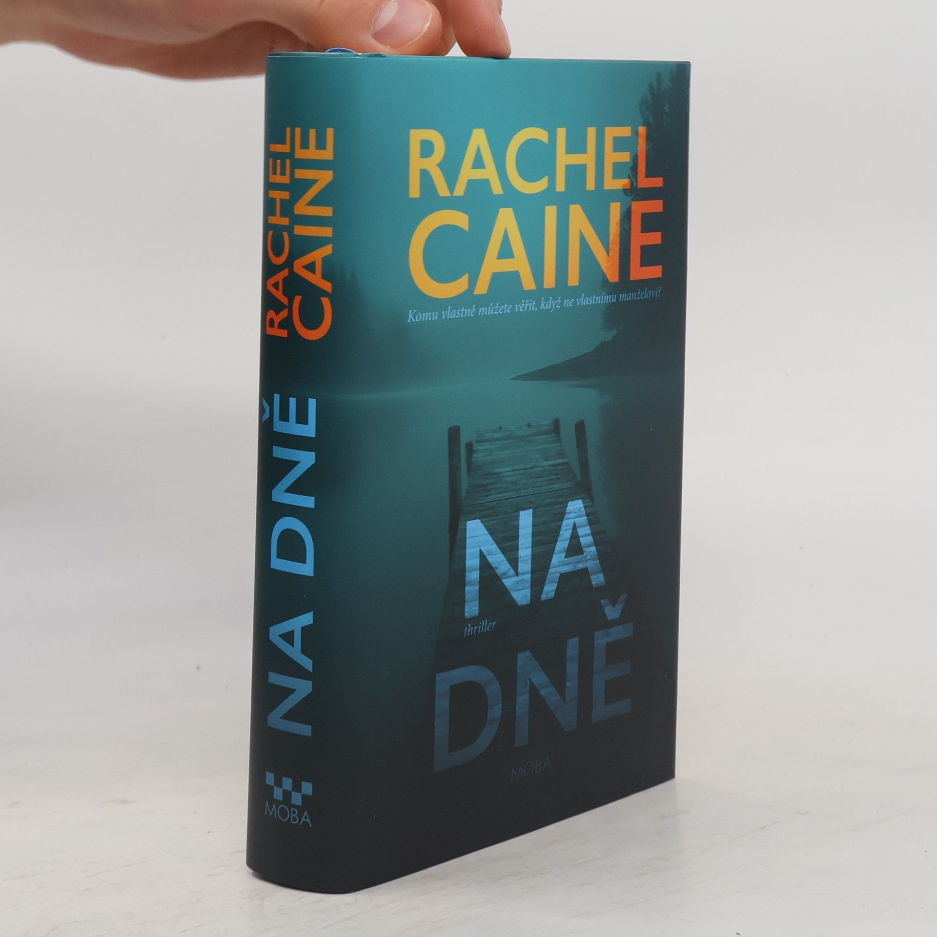 Rachel Caine Na dně
