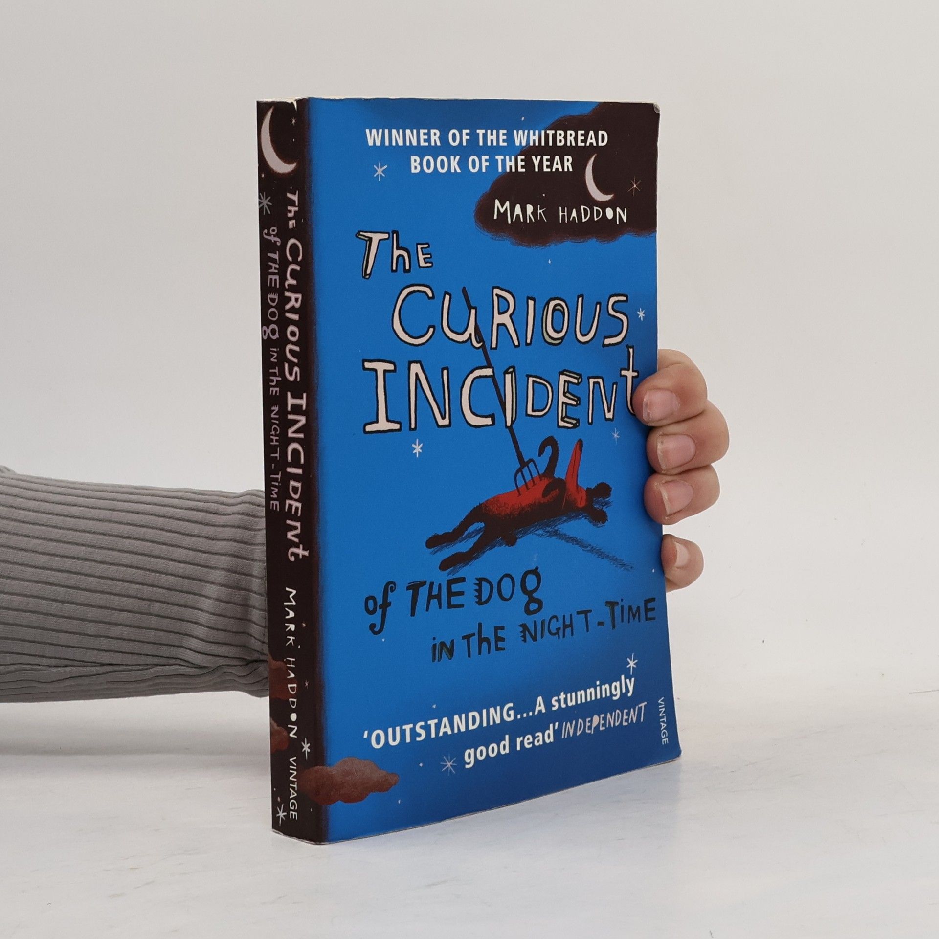 Mark Haddon The Curious Incident of the Dog in the Night-Time