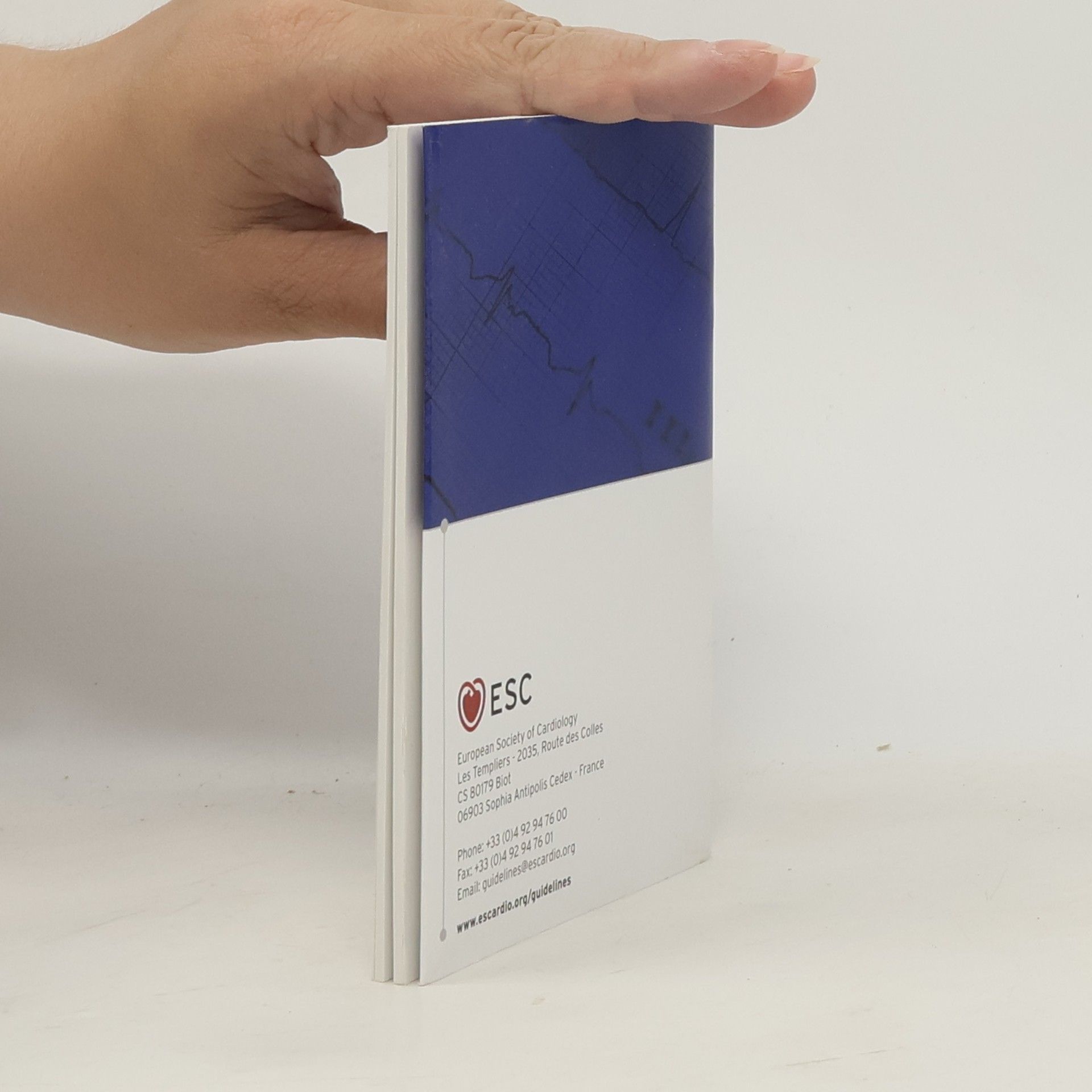 kolektiv 2020 ESC Pocket Guidelines. NSTE-ACS