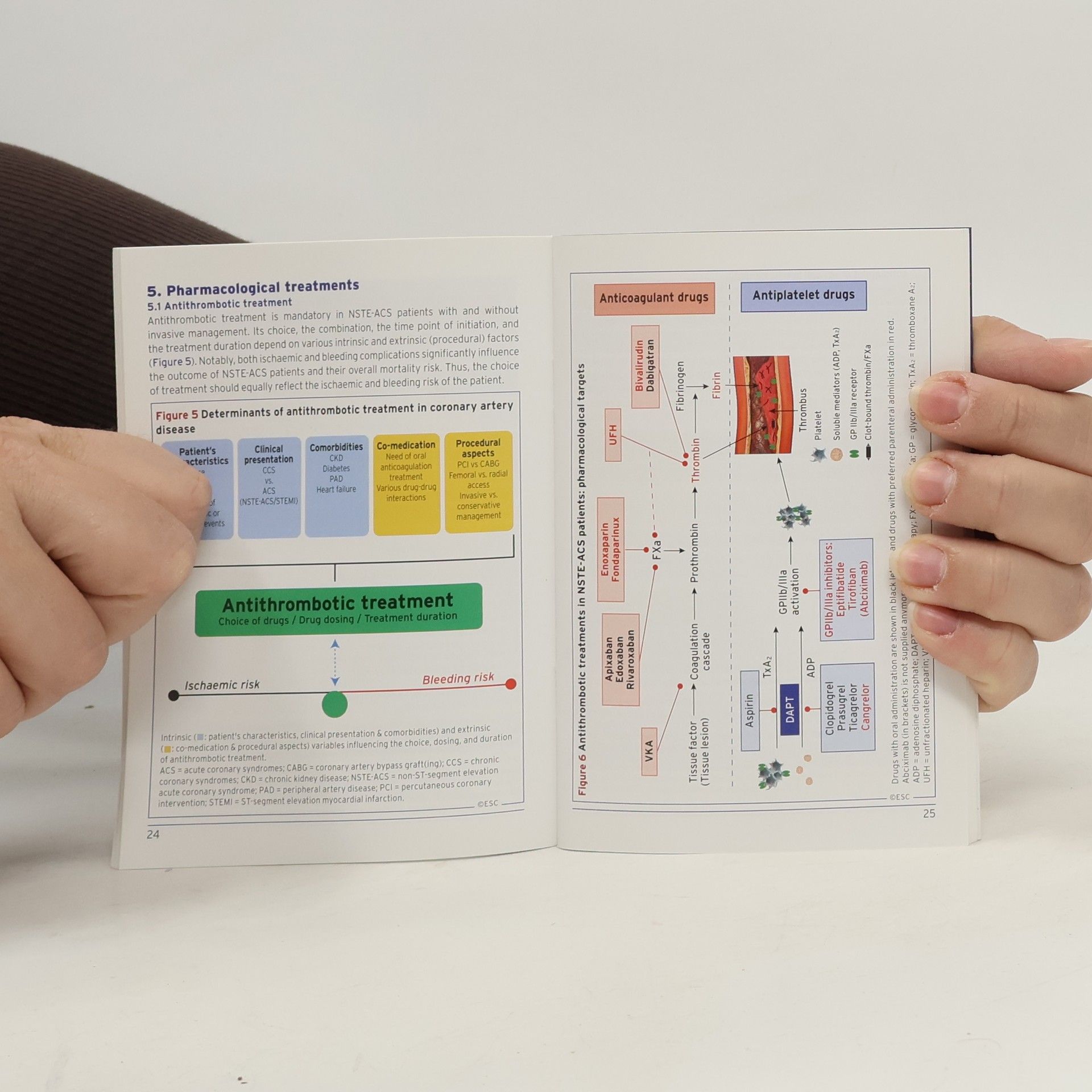 kolektiv 2020 ESC Pocket Guidelines. NSTE-ACS