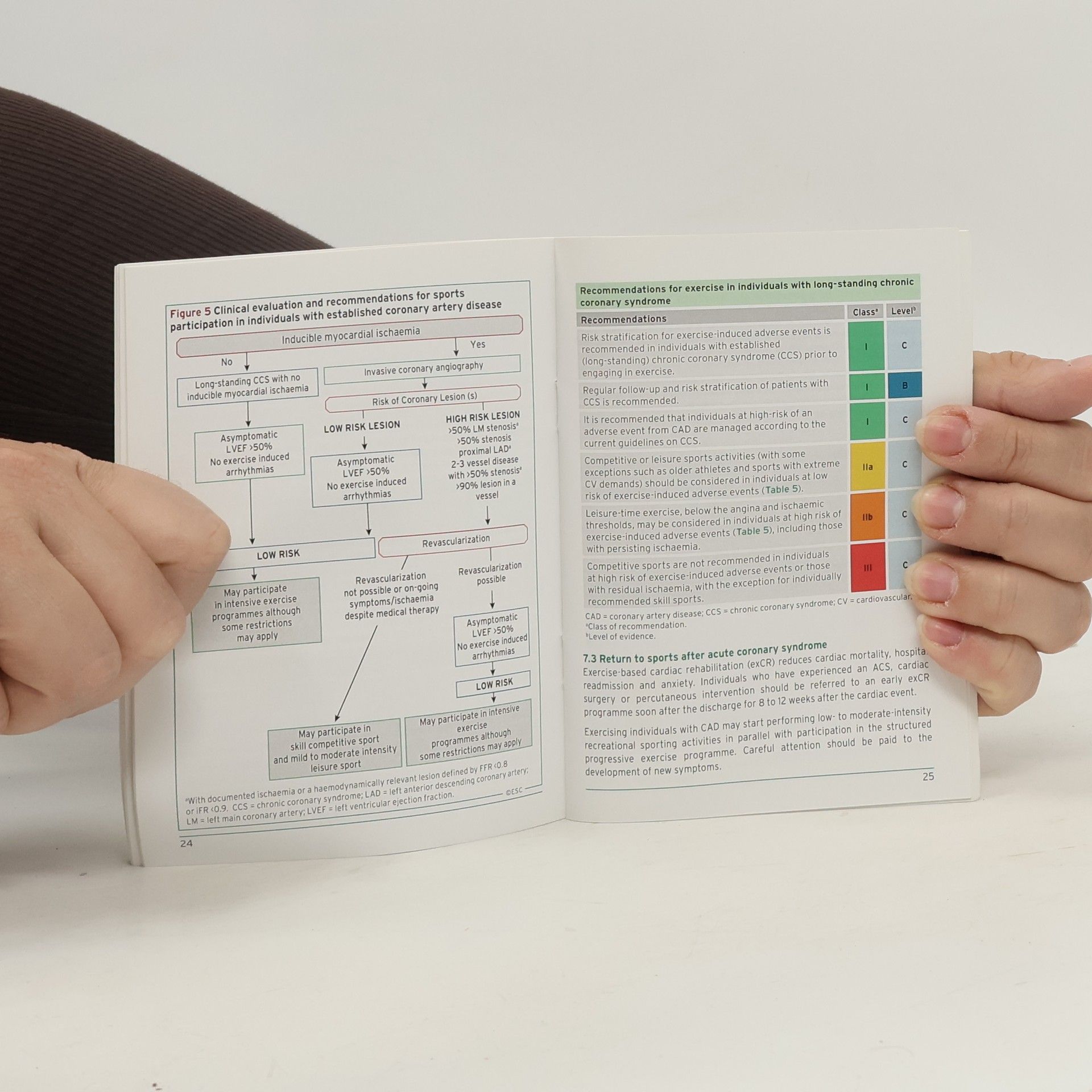 Autorenkollektiv 2020 ESC Pocket Guidelines. Sports
