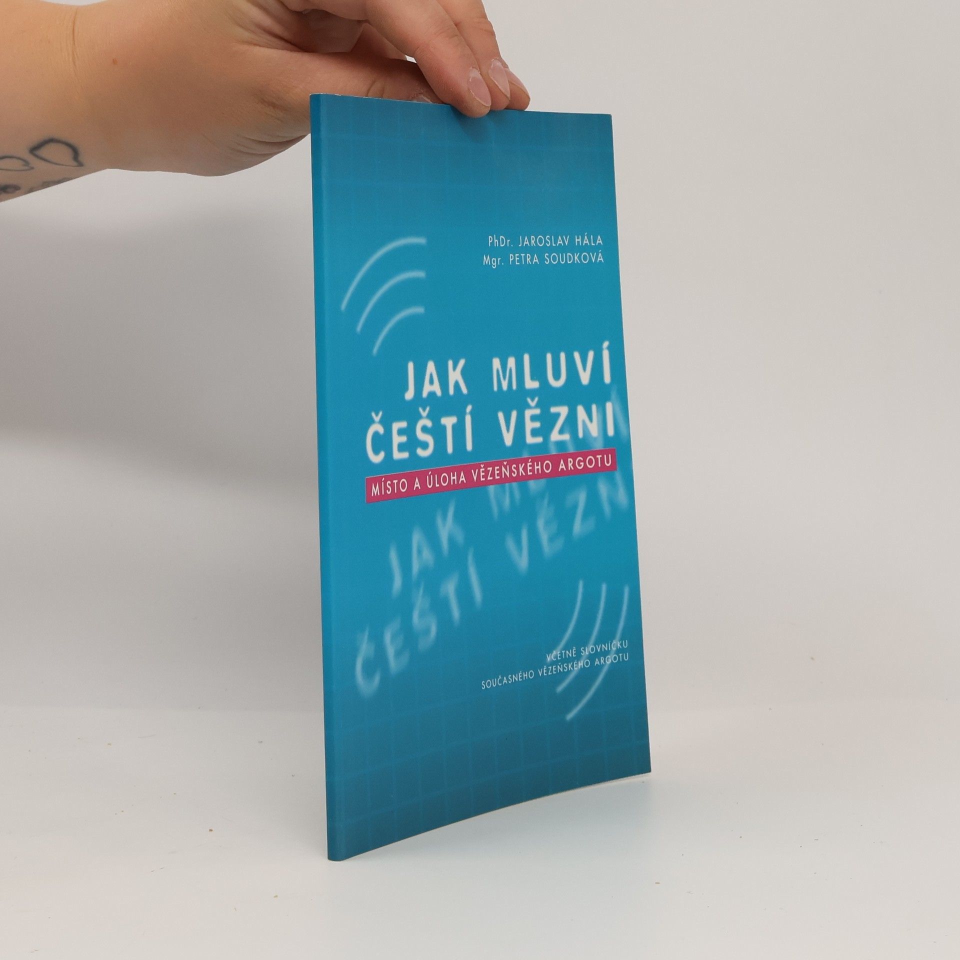 Jak mluví čeští vězni