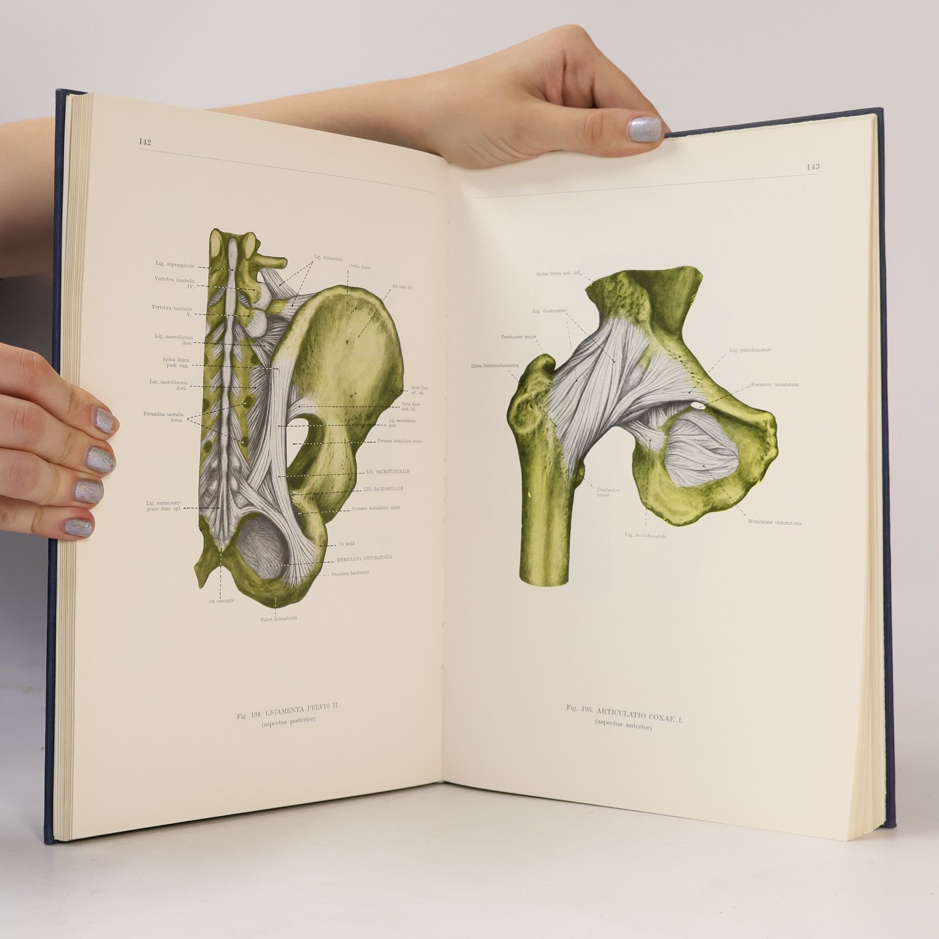 Ferenc Kiss Atlas anatómie človeka I-III