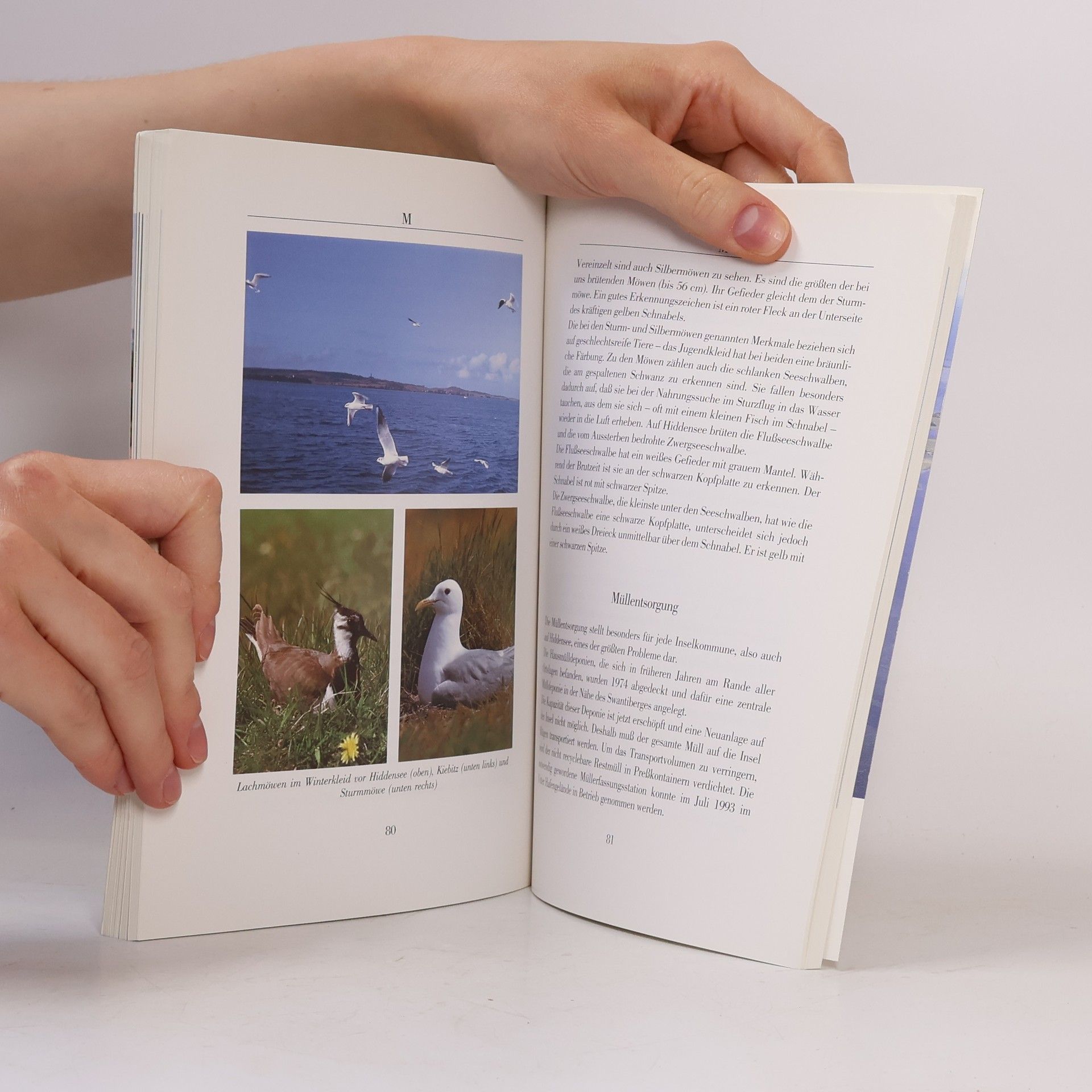 Karin Blase Hiddensee A-Z