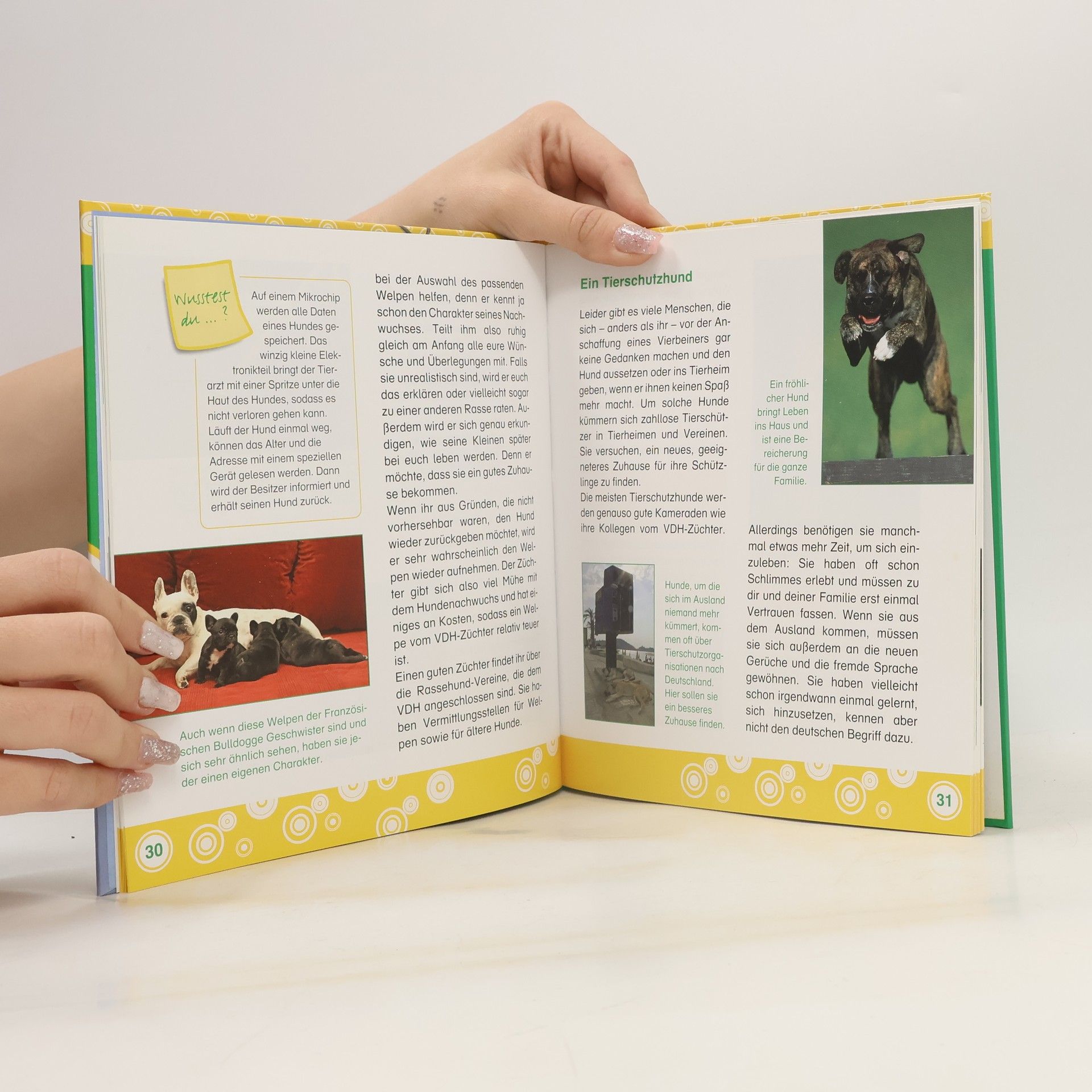 Collectif d'auteurs Hunde. Ein Ratgeber für kleine Tierfreunde