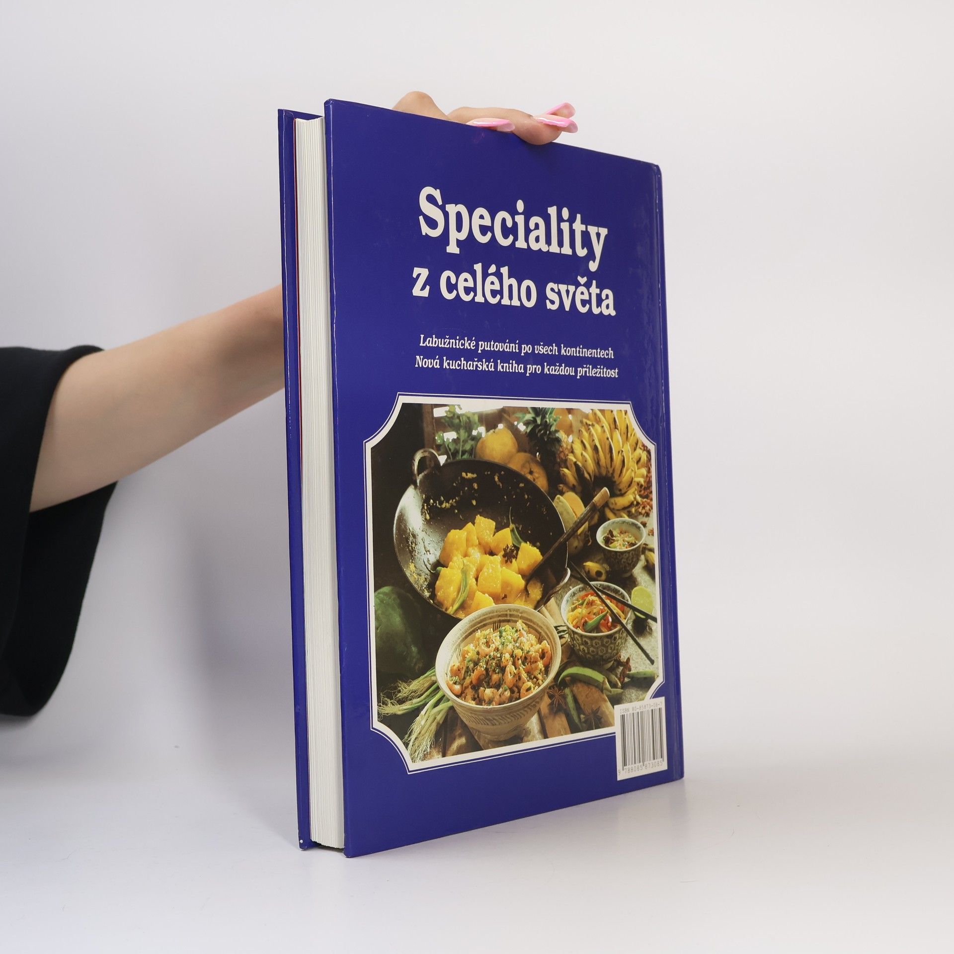 Christian Teubner Speciality z celého světa, 500 receptů ze 64 zemí