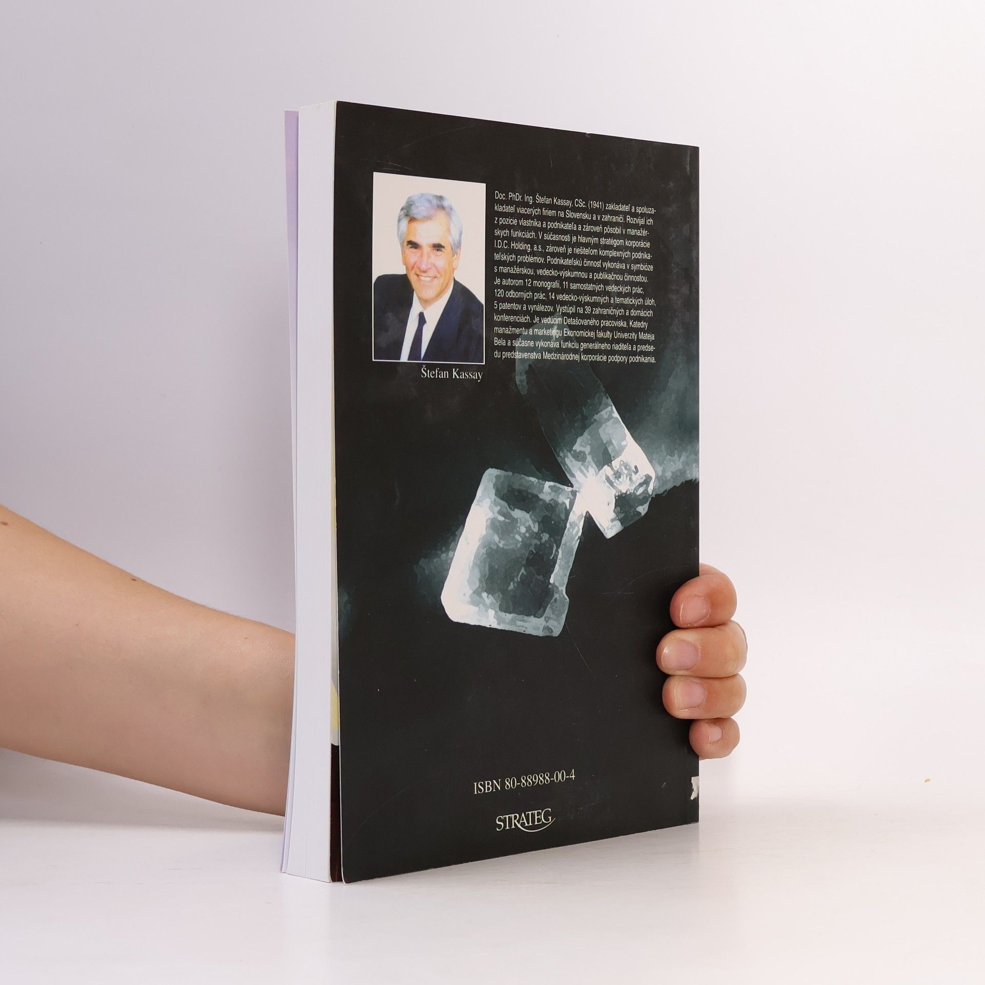 Štefan Kassay Marketingová stratégia firmy holdingového typu III
