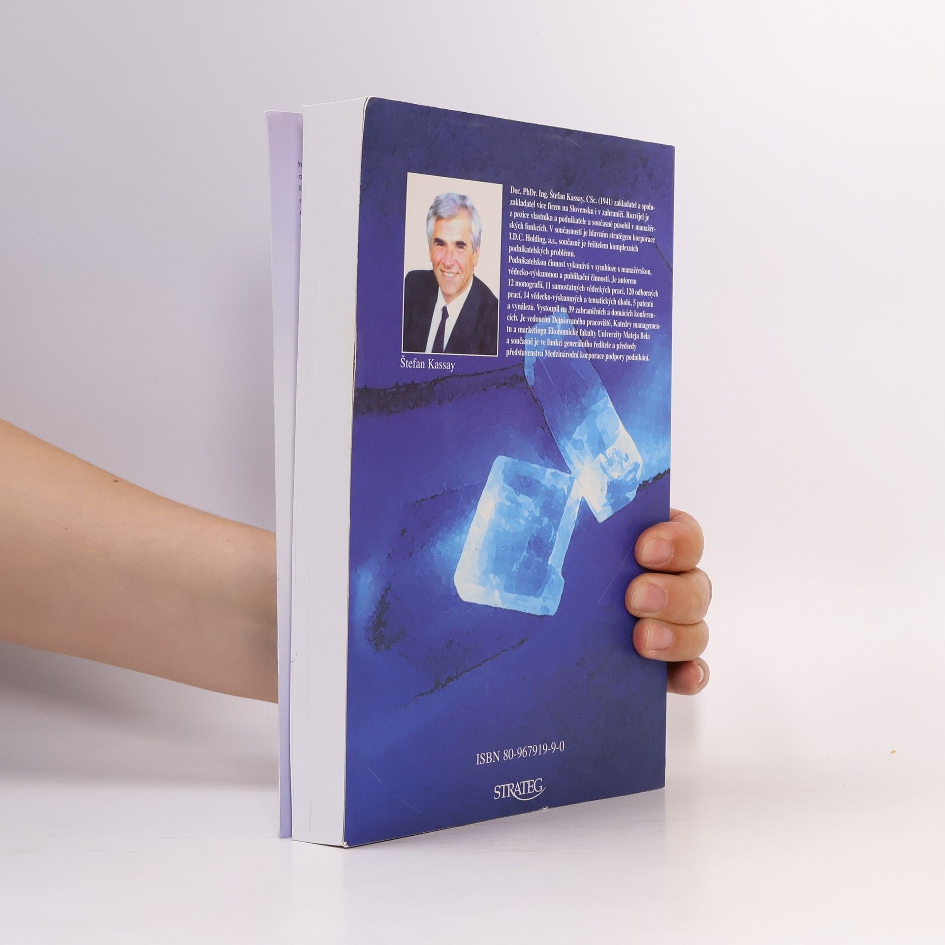 Štefan Kassay Marketingová strategie firmy holdingového typu
