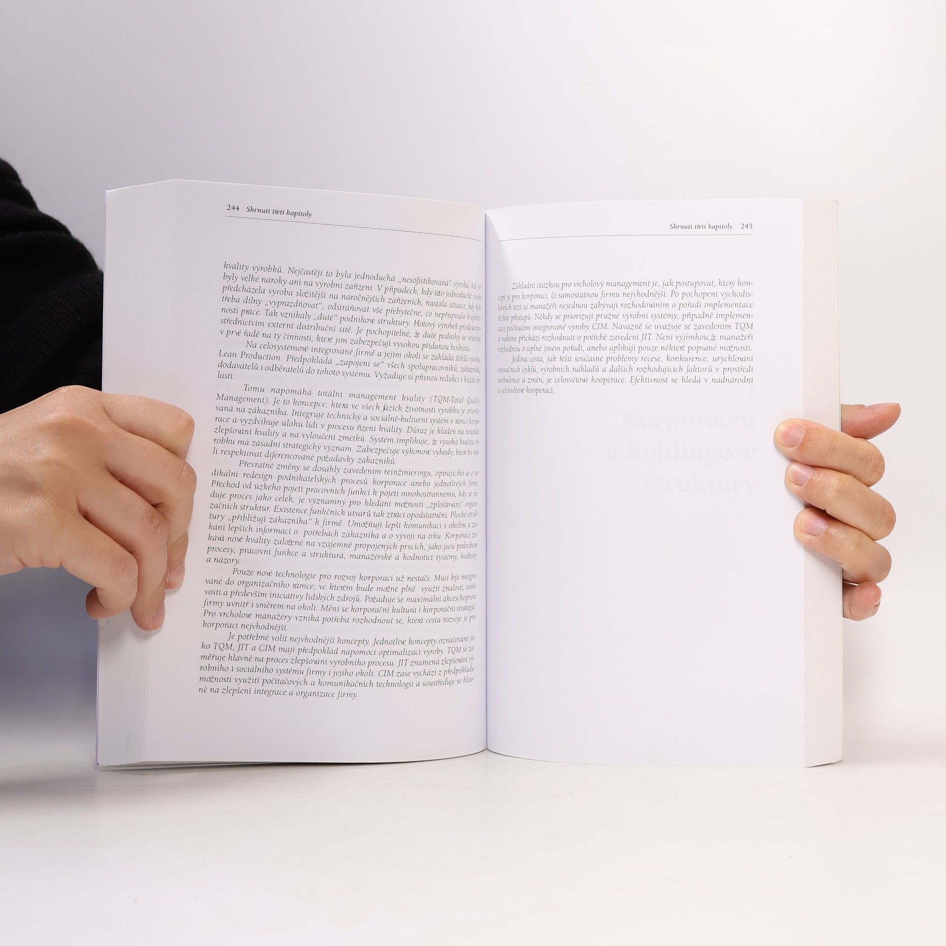 Štefan Kassay Marketingová strategie firmy holdingového typu