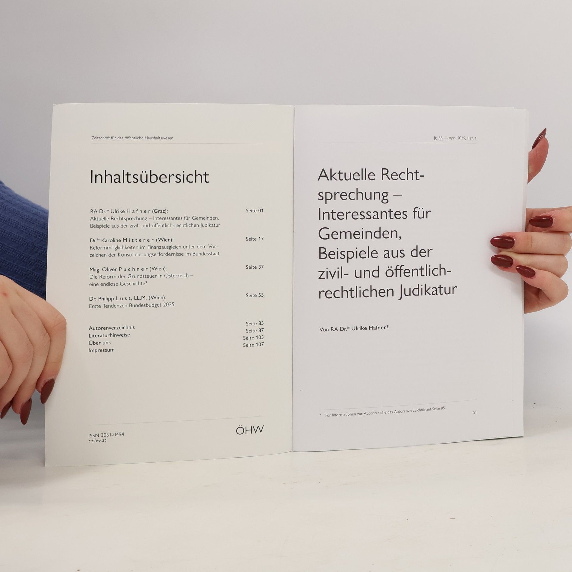 Autorenkollektiv Das öffentliche Haushaltswesen in Österreich