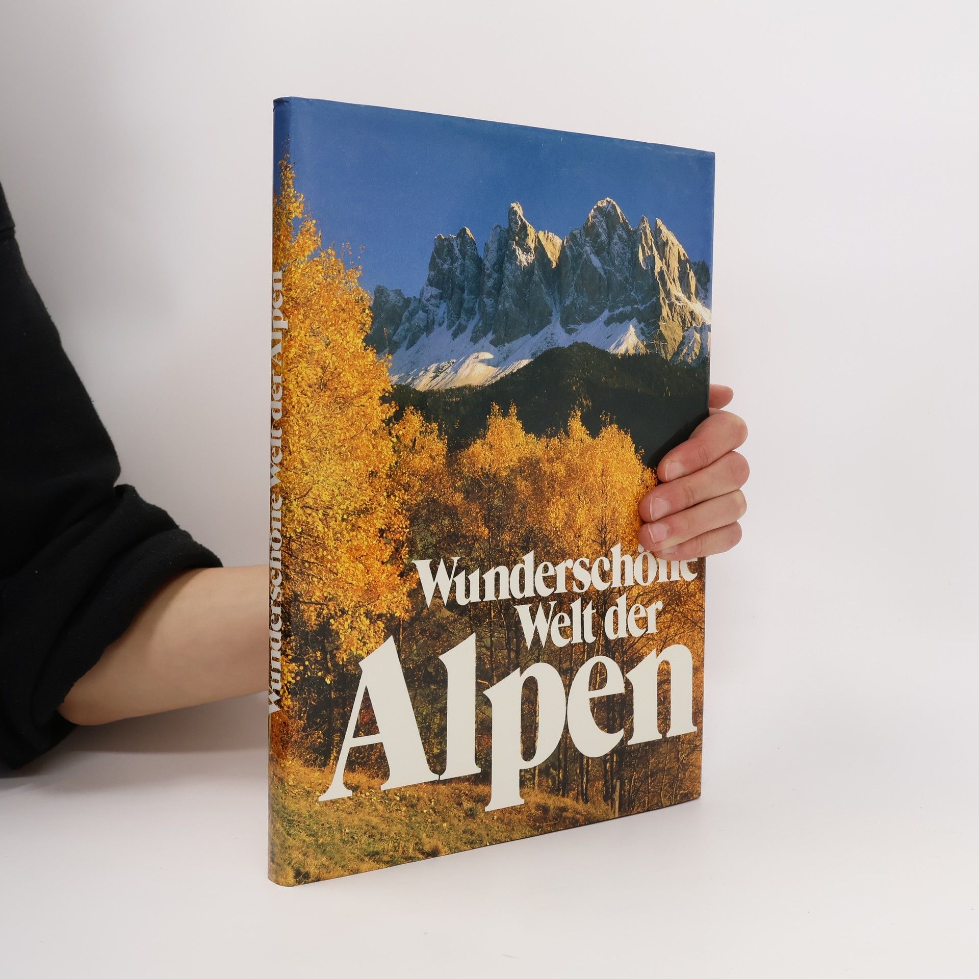 Autorenkollektiv Wunderschöne Welt der Alpen