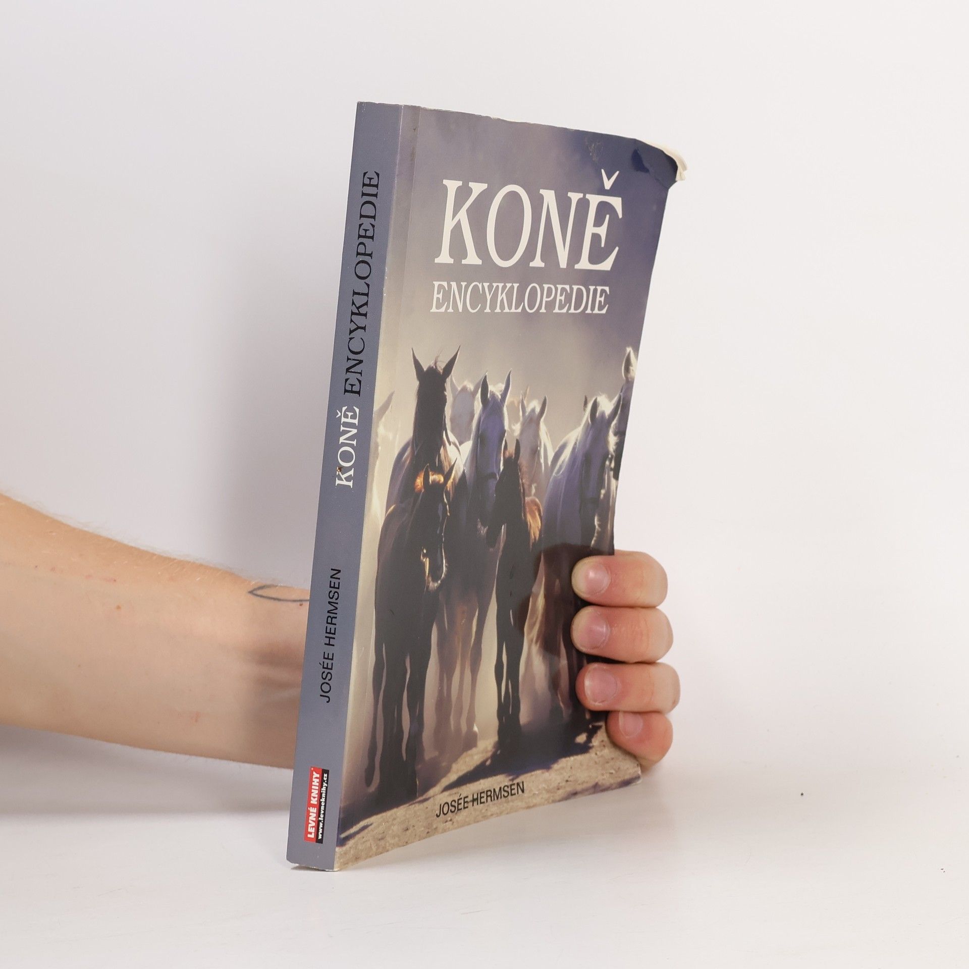 Kateřina Hlavová Koně. Encyklopedie