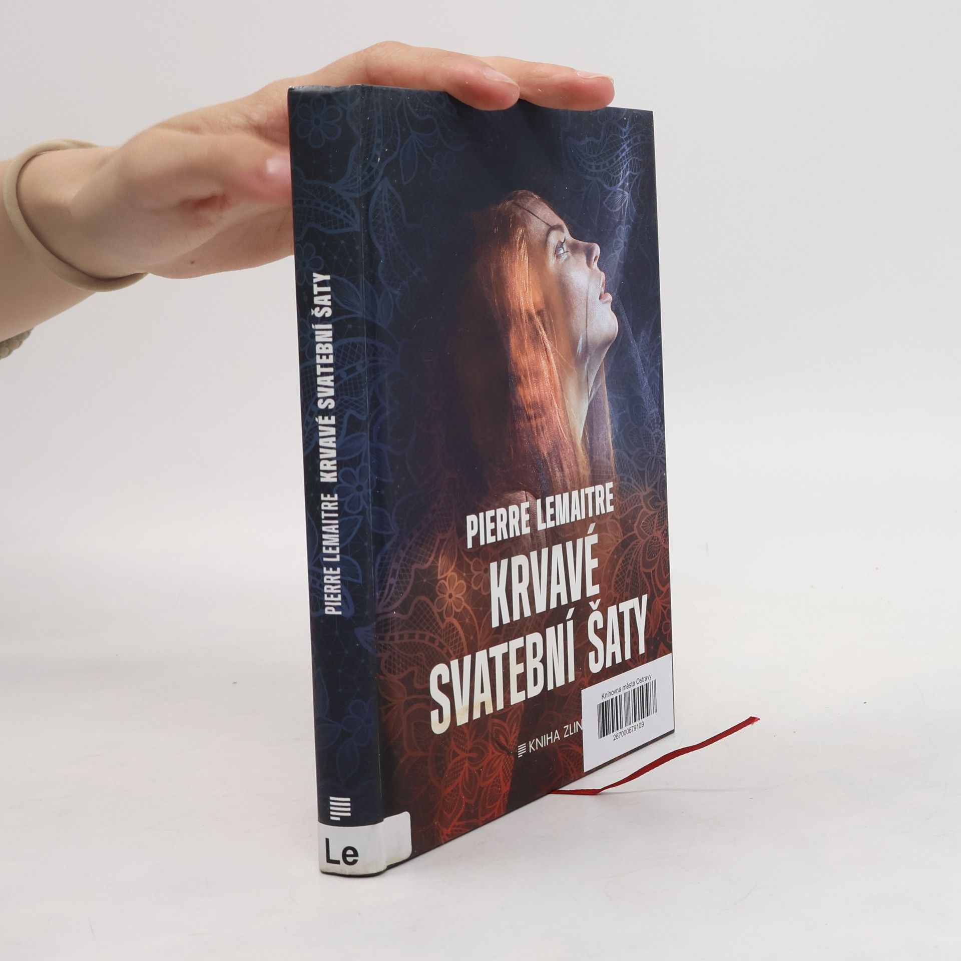 Pierre Lemaitre Krvavé svatební šaty