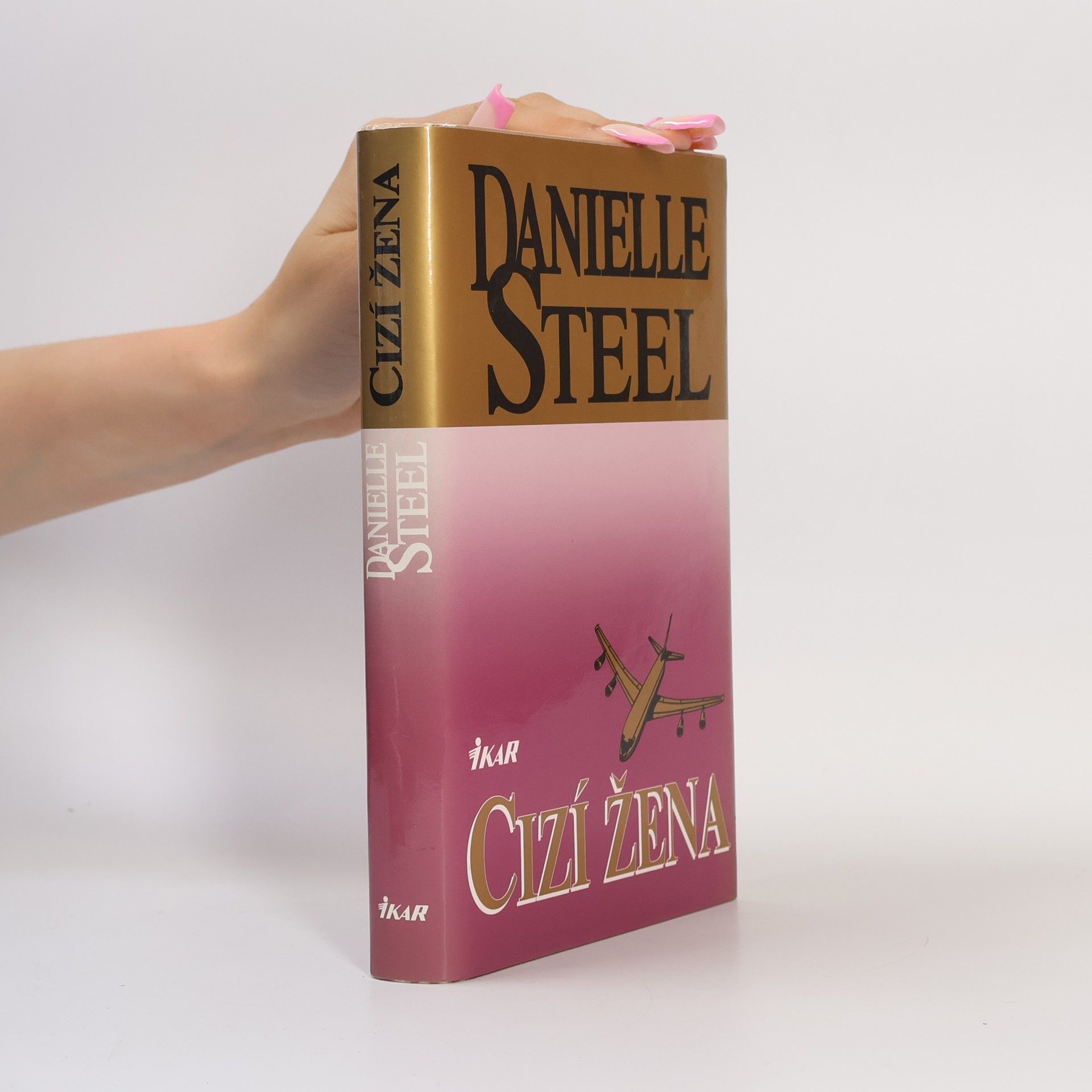 Danielle Steel Cizí žena