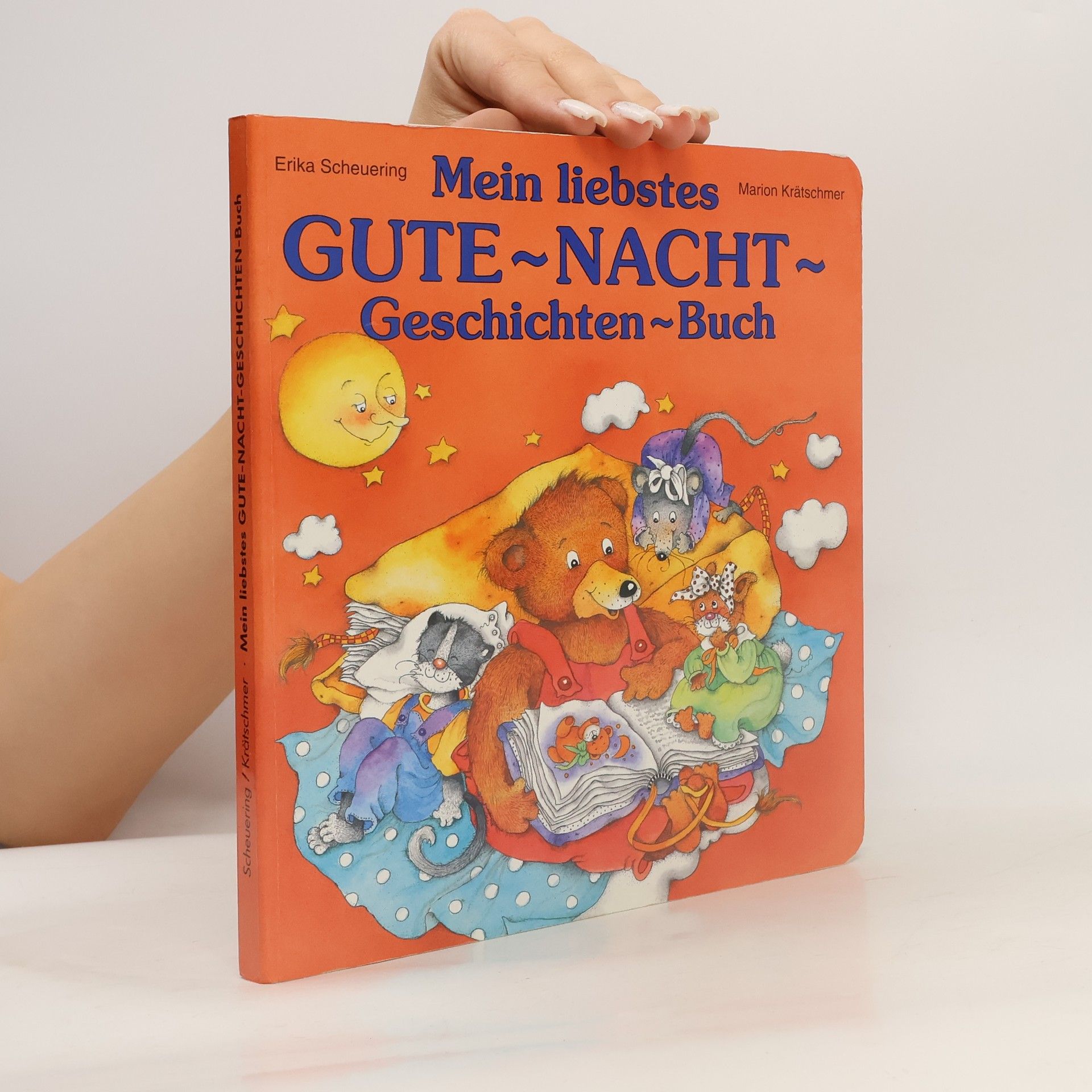 Erika Scheuering Mein liebstes Gute-Nacht-Geschichten-Buch