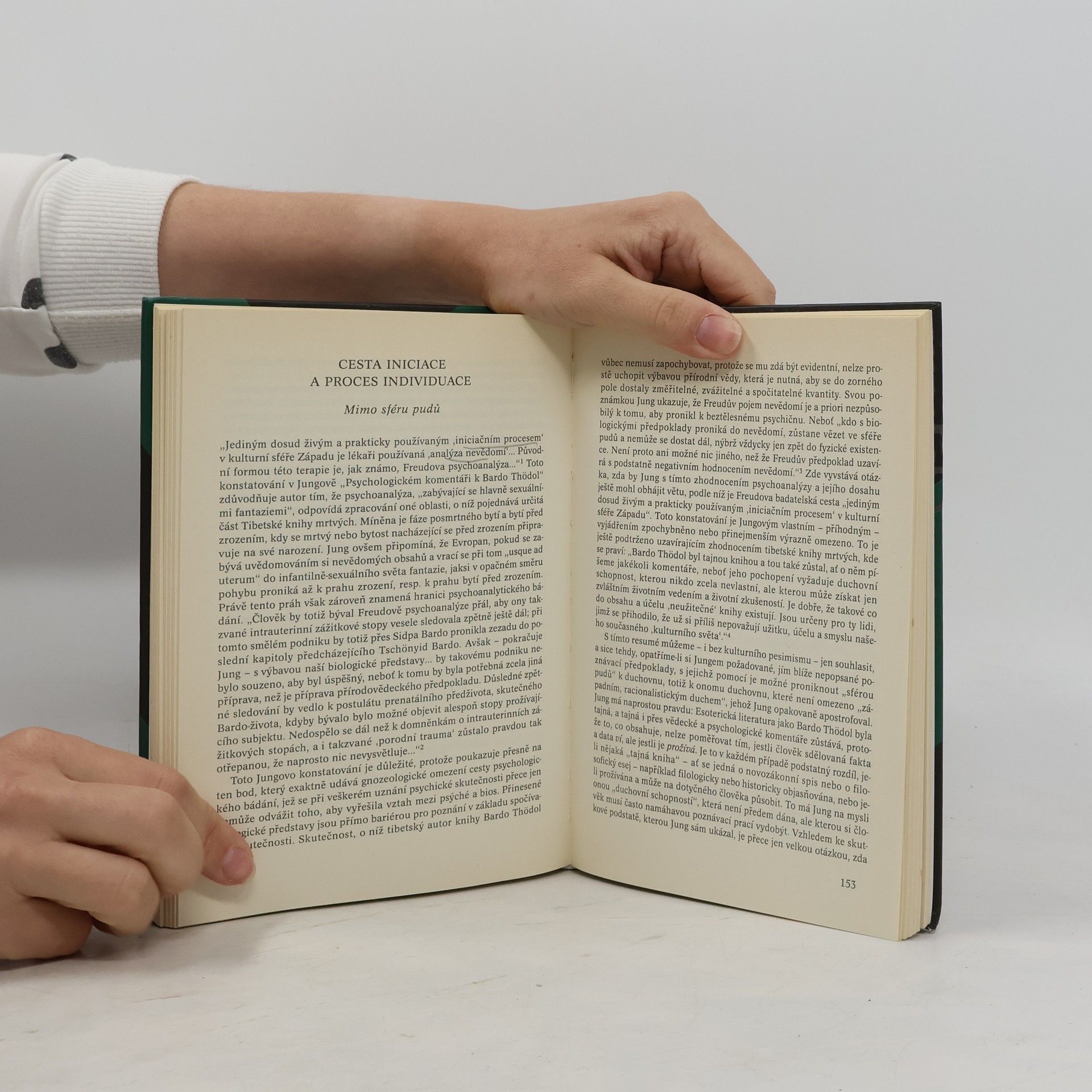 Gerhard Wehr C. G. Jung a Rudolf Steiner: Konfrontace a synopse