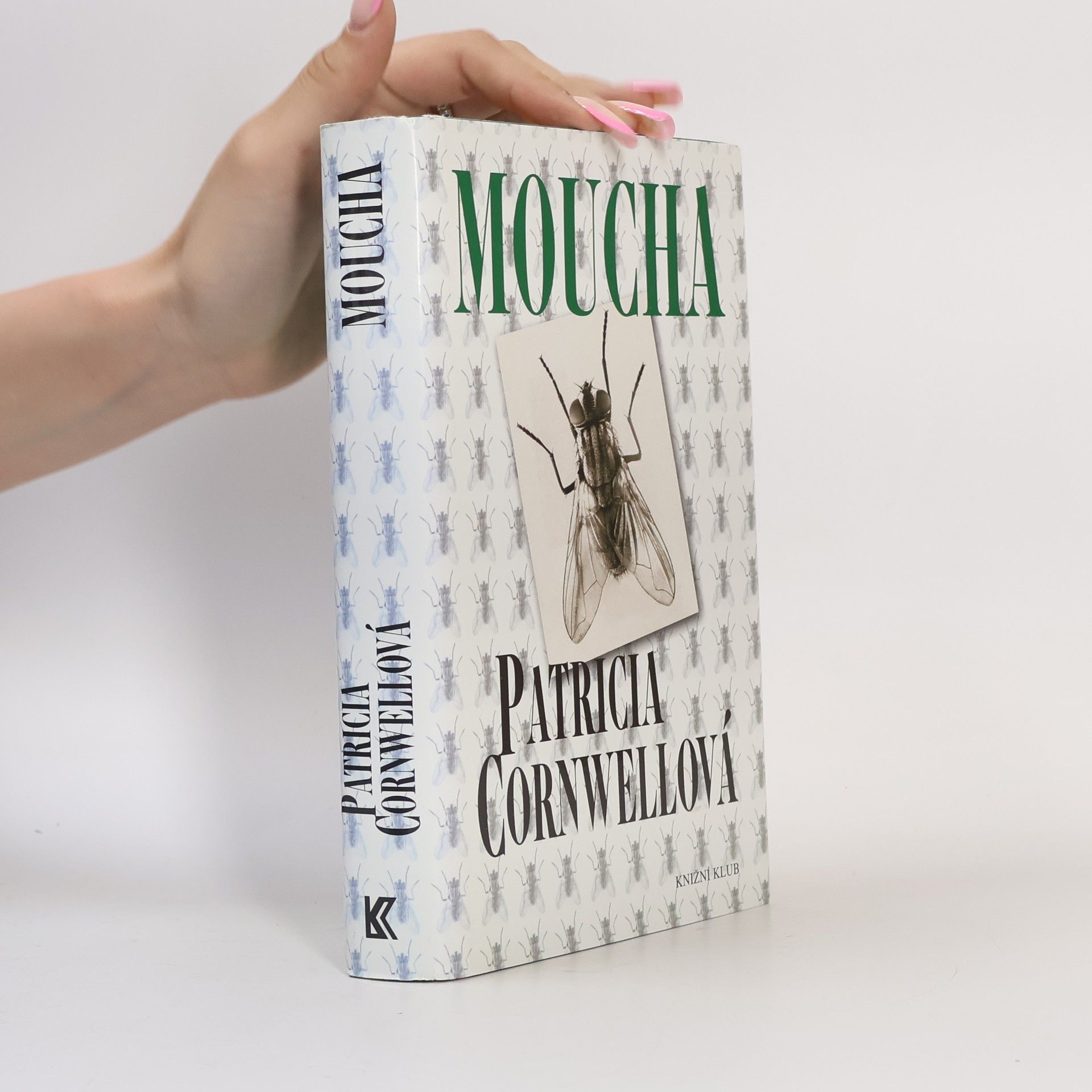 Danielle Steel Cizí žena