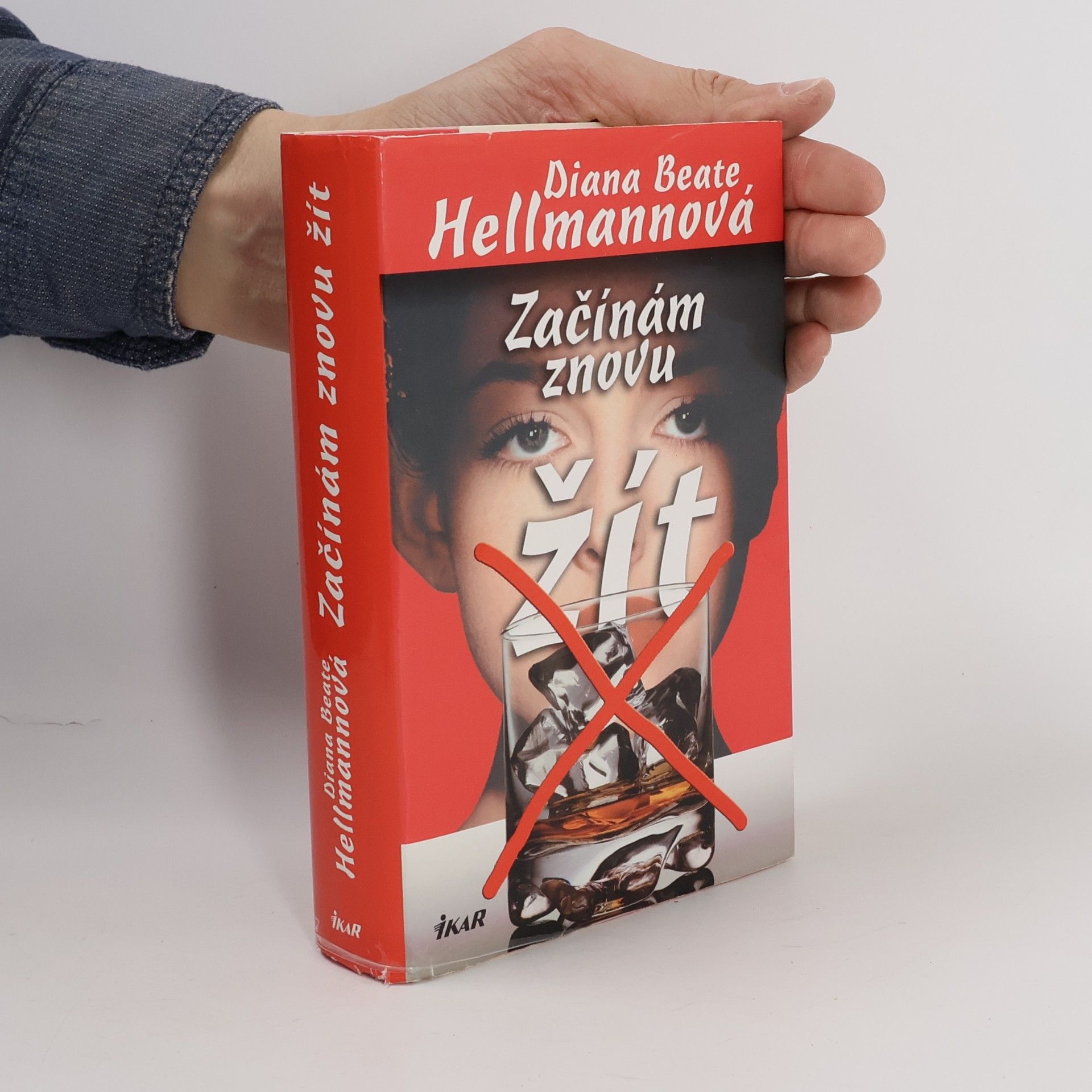 Diana Beate Hellmann Začínám znovu žít