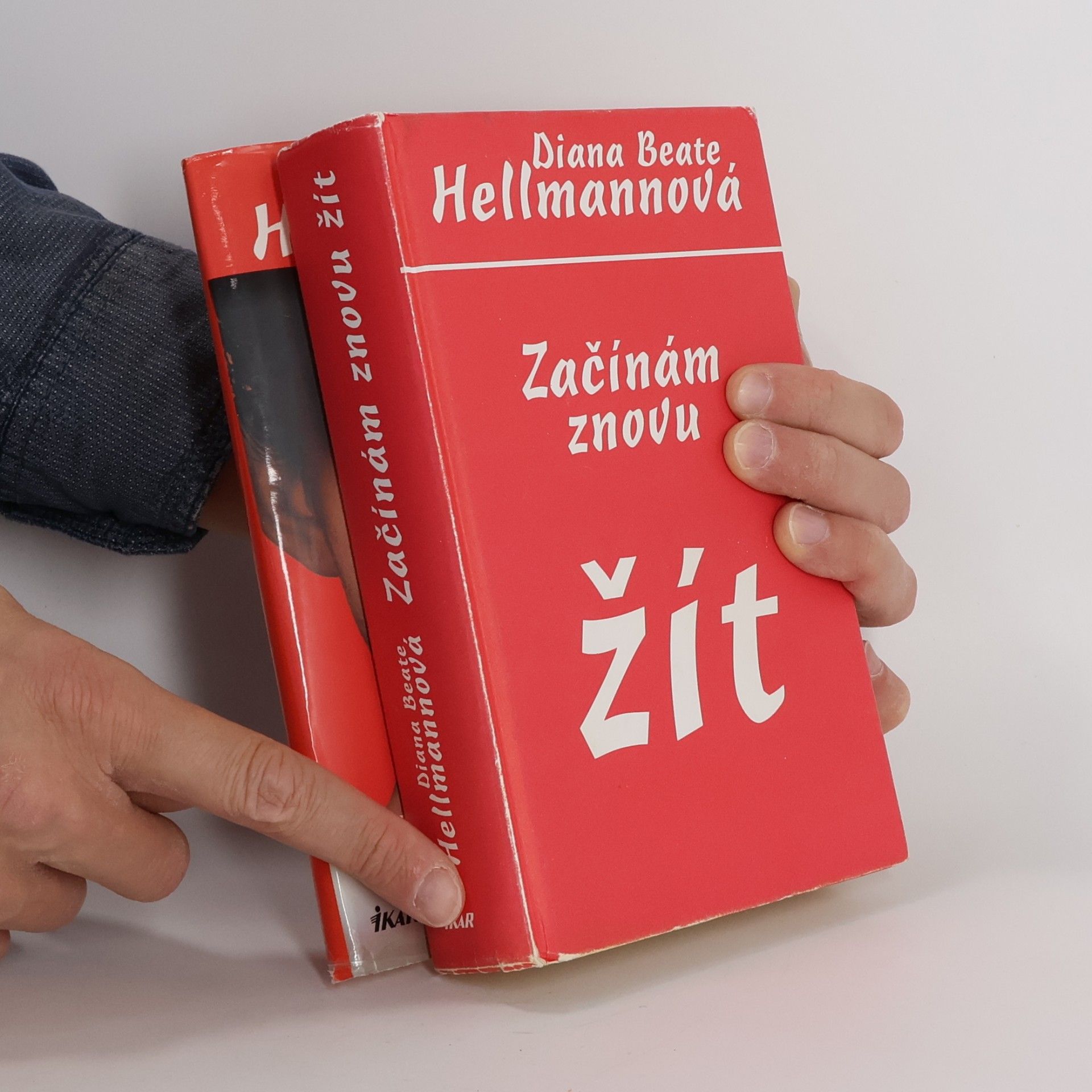 Diana Beate Hellmann Začínám znovu žít