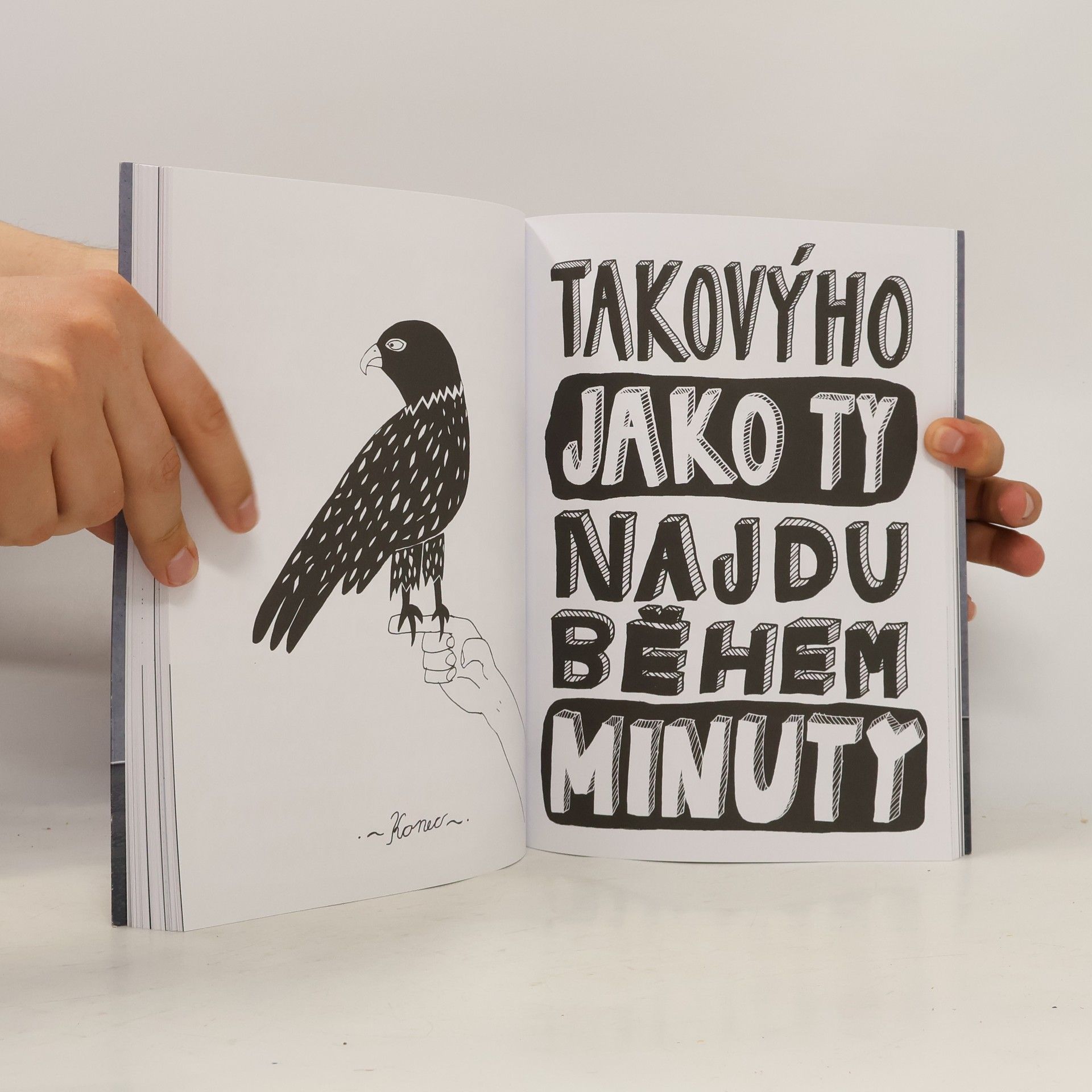 Liv Strömquist Nejrudější růže rozkvétá